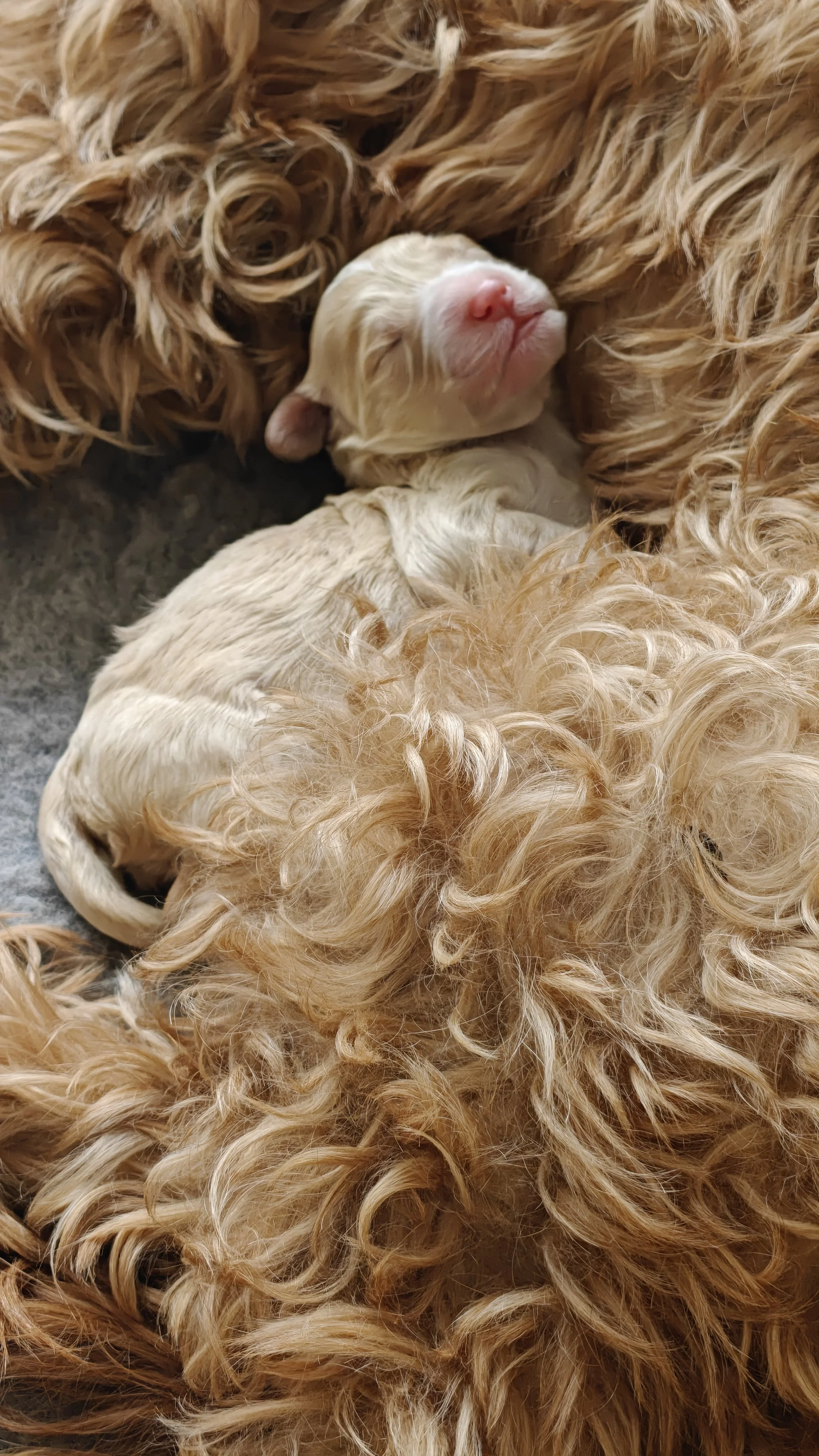 Kiki as a baby