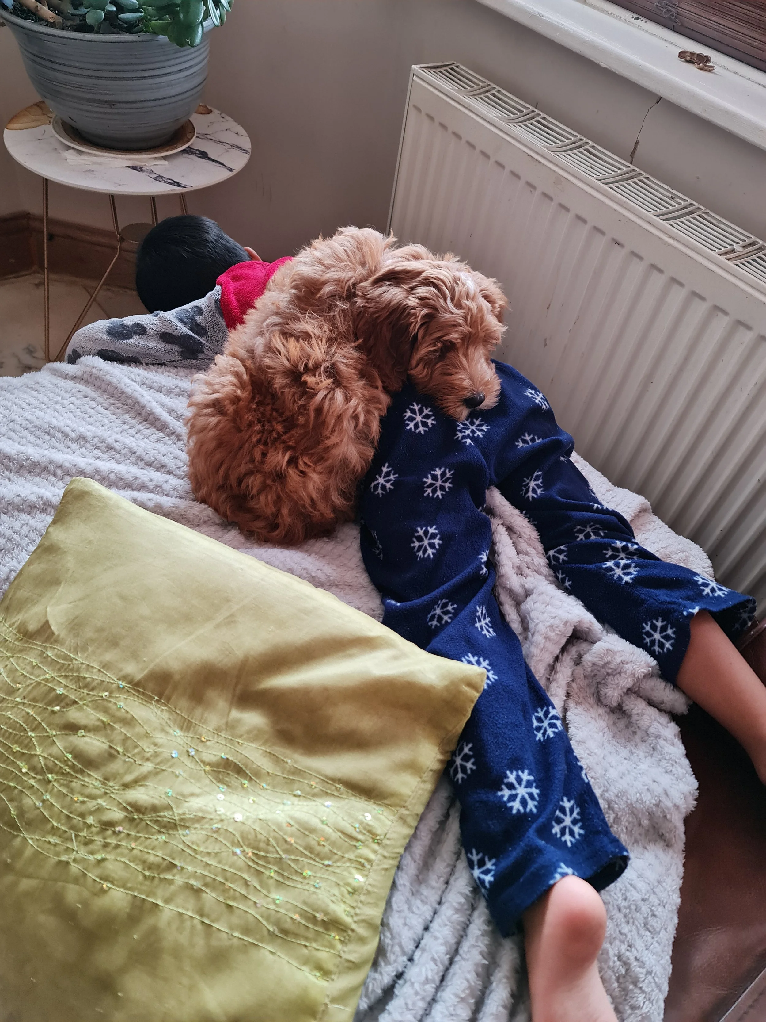 Azhaga falling asleep with Couscous beside him.