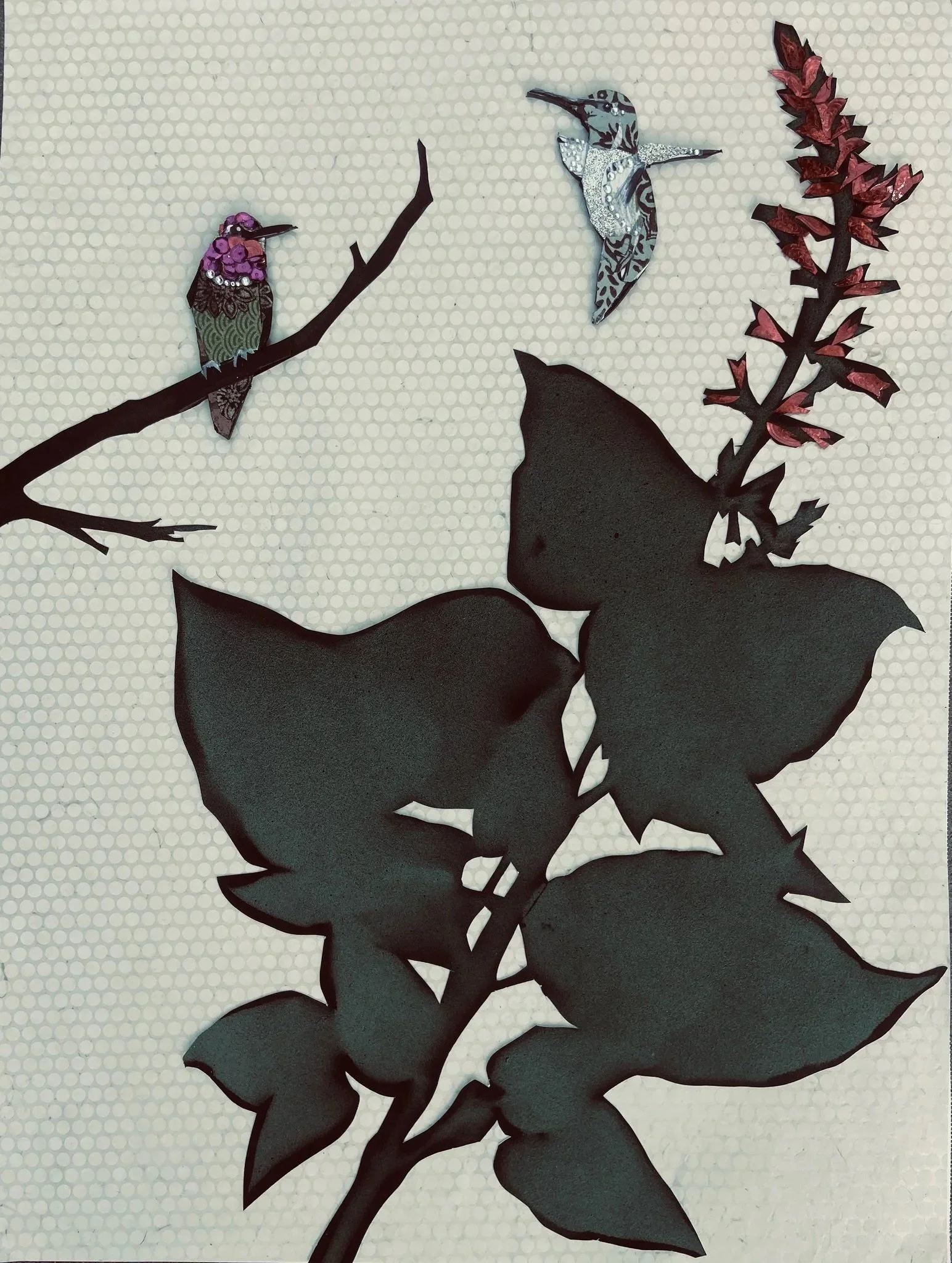 Anna's Hummingbird