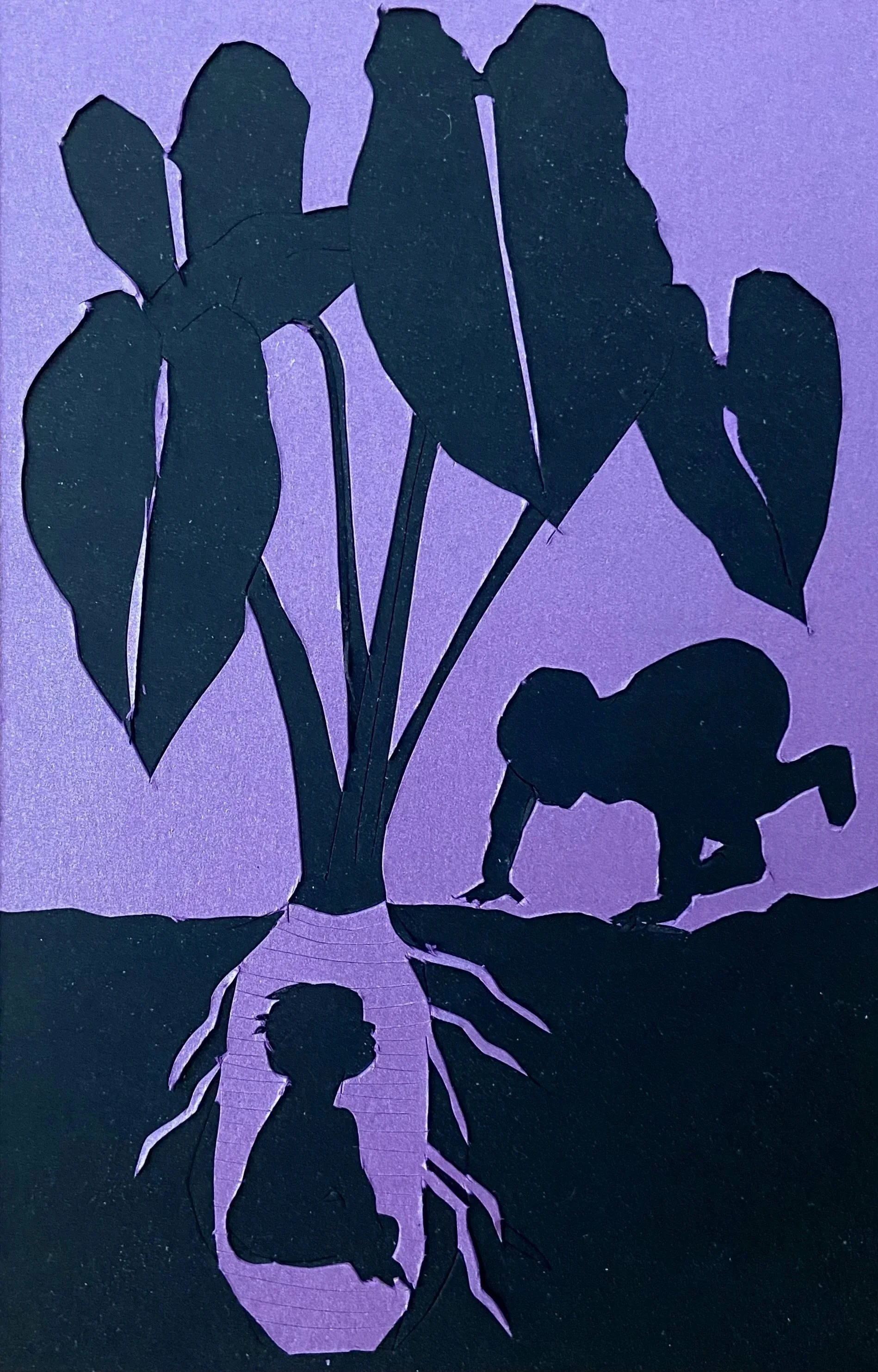 The Origin of Kalo (Taro) Man's Twin Brother - Hawaiian Creation Myth