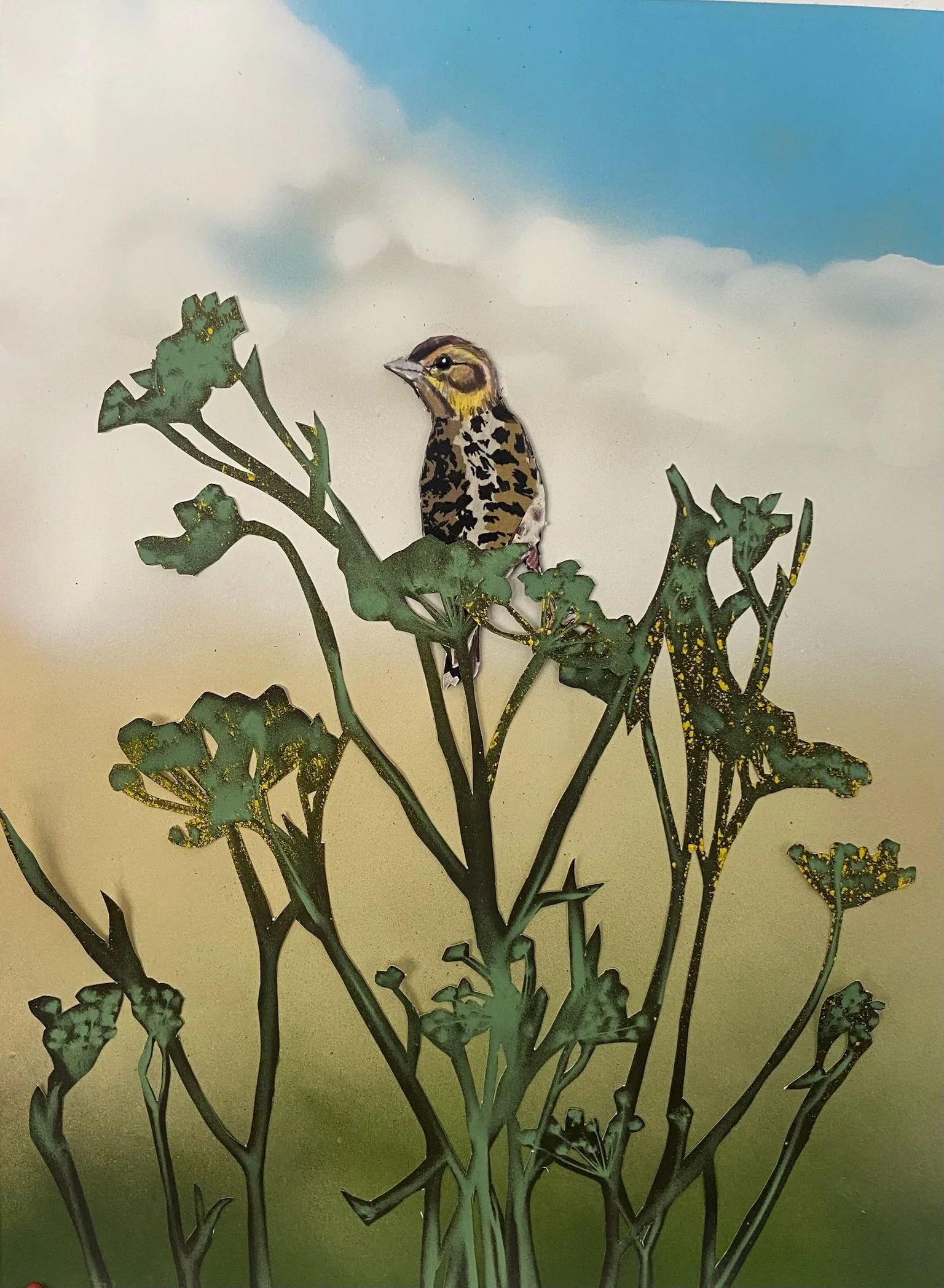 Savannah Sparrow