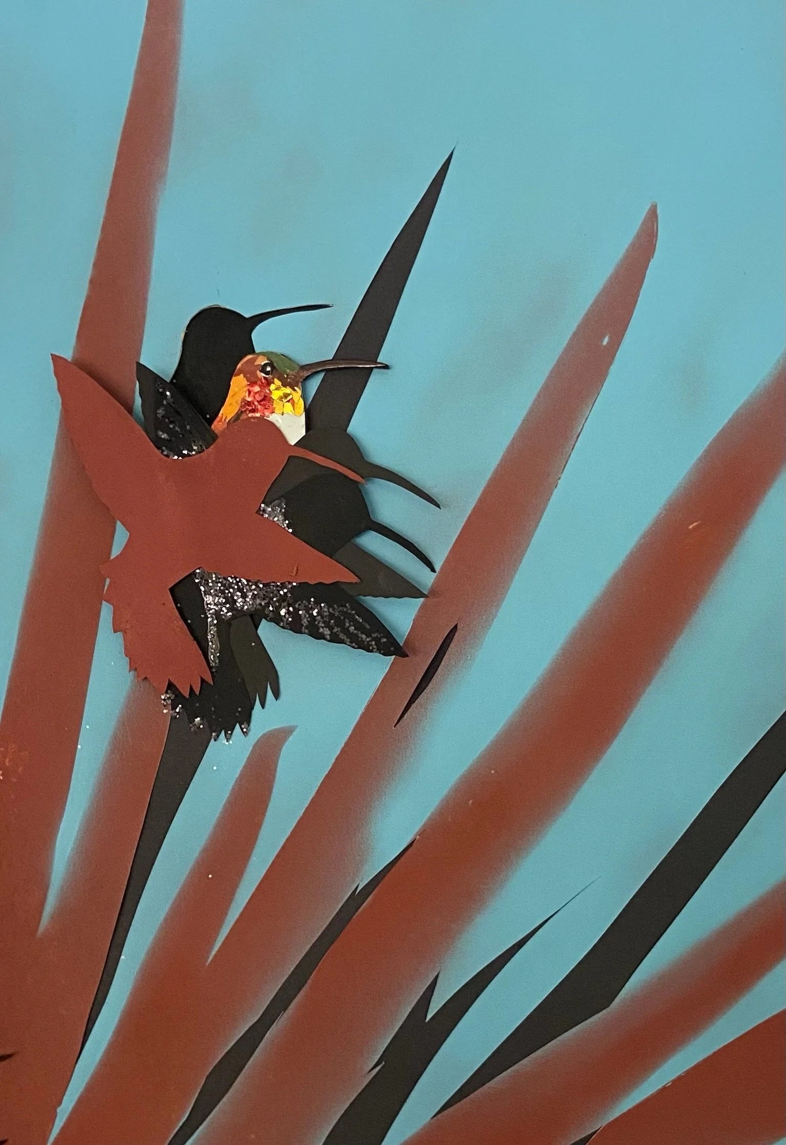 Rufous Hummingbird