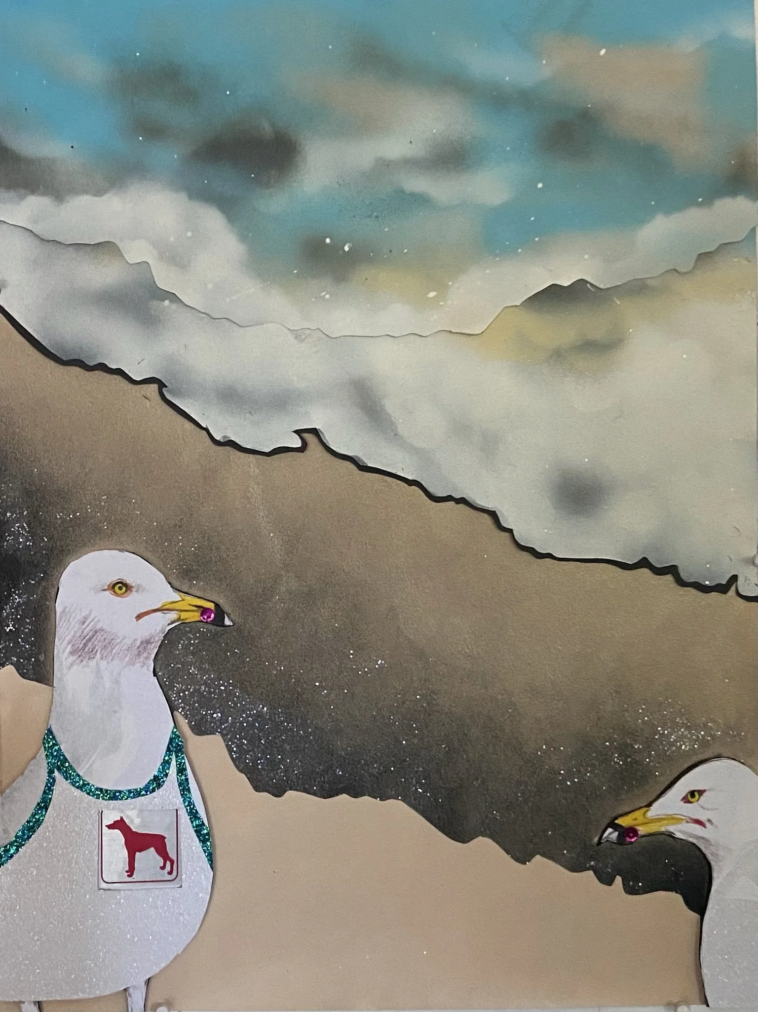 California Gull