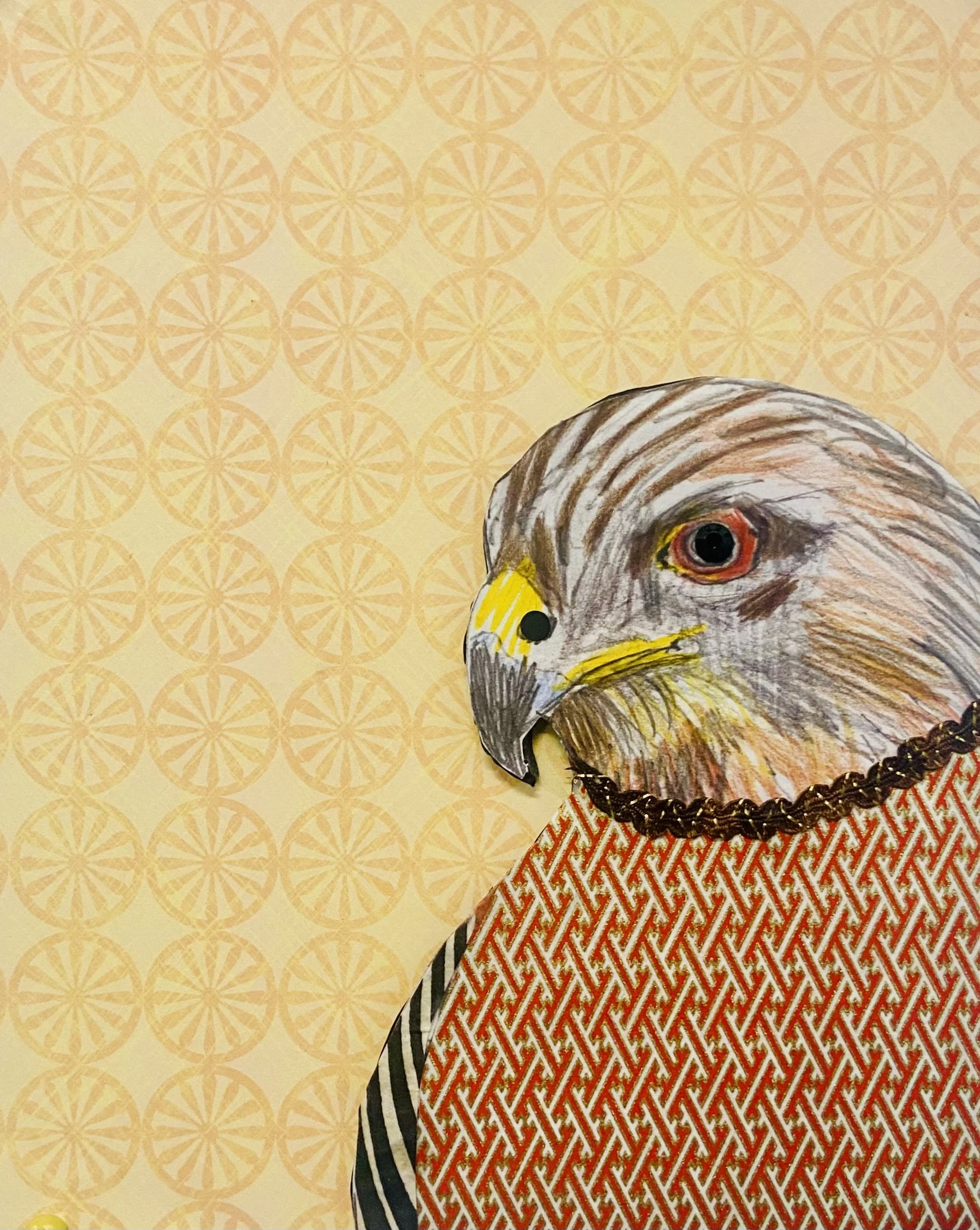 Red-shouldered Hawk