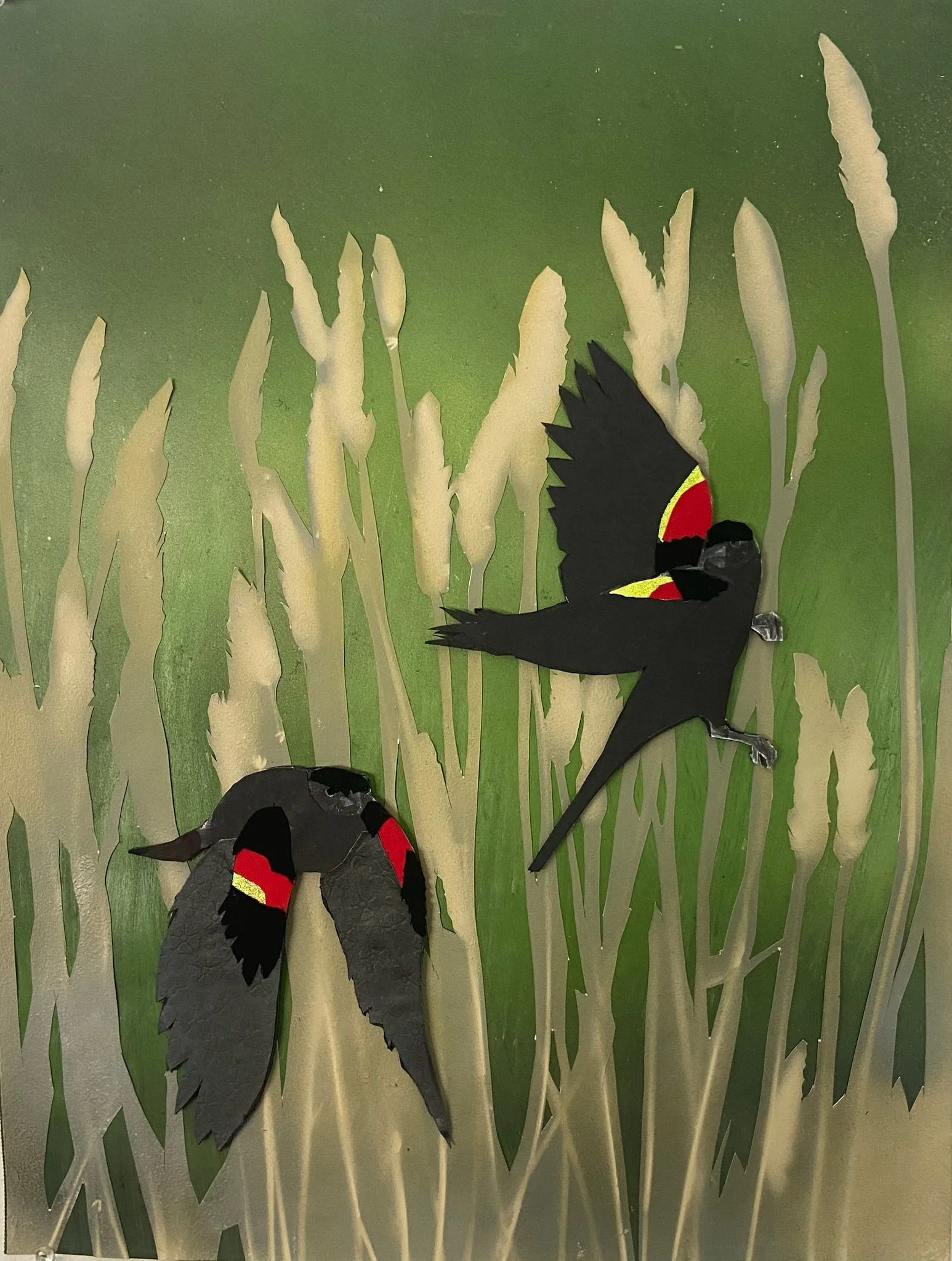 Red-winged Blackbirds