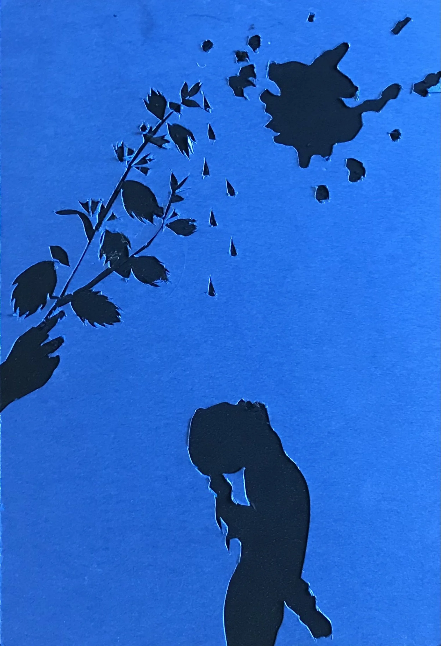The Protection of the Hyssop Plant - Hebrew Scriptures / Jewish Mythology - The Ancient Near East