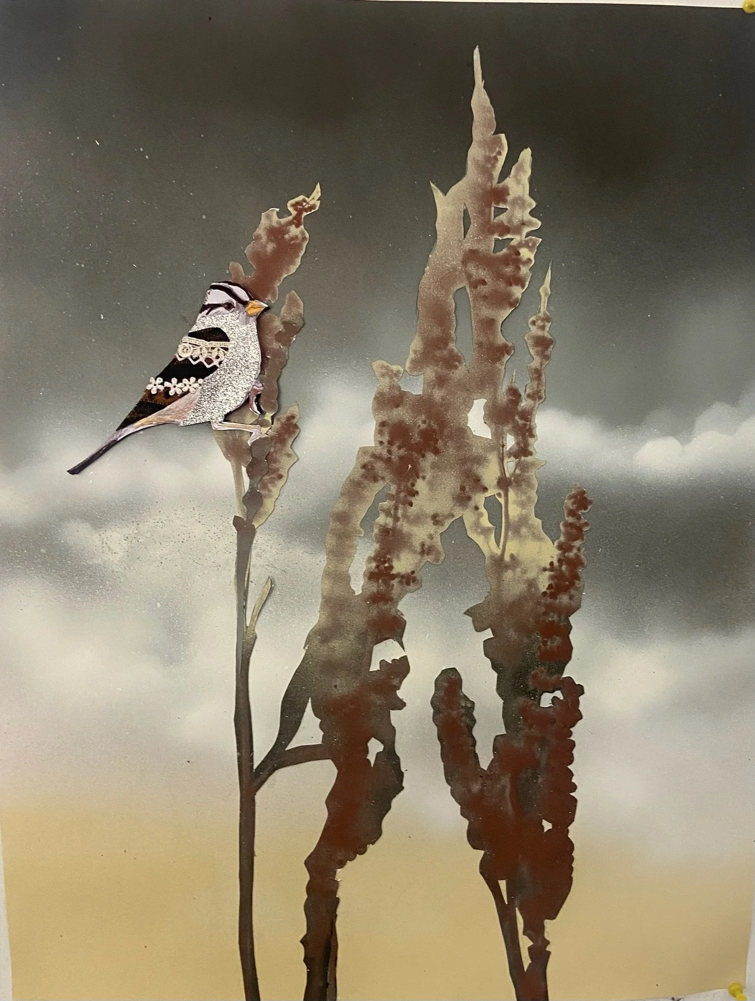 White-crowned Sparrow