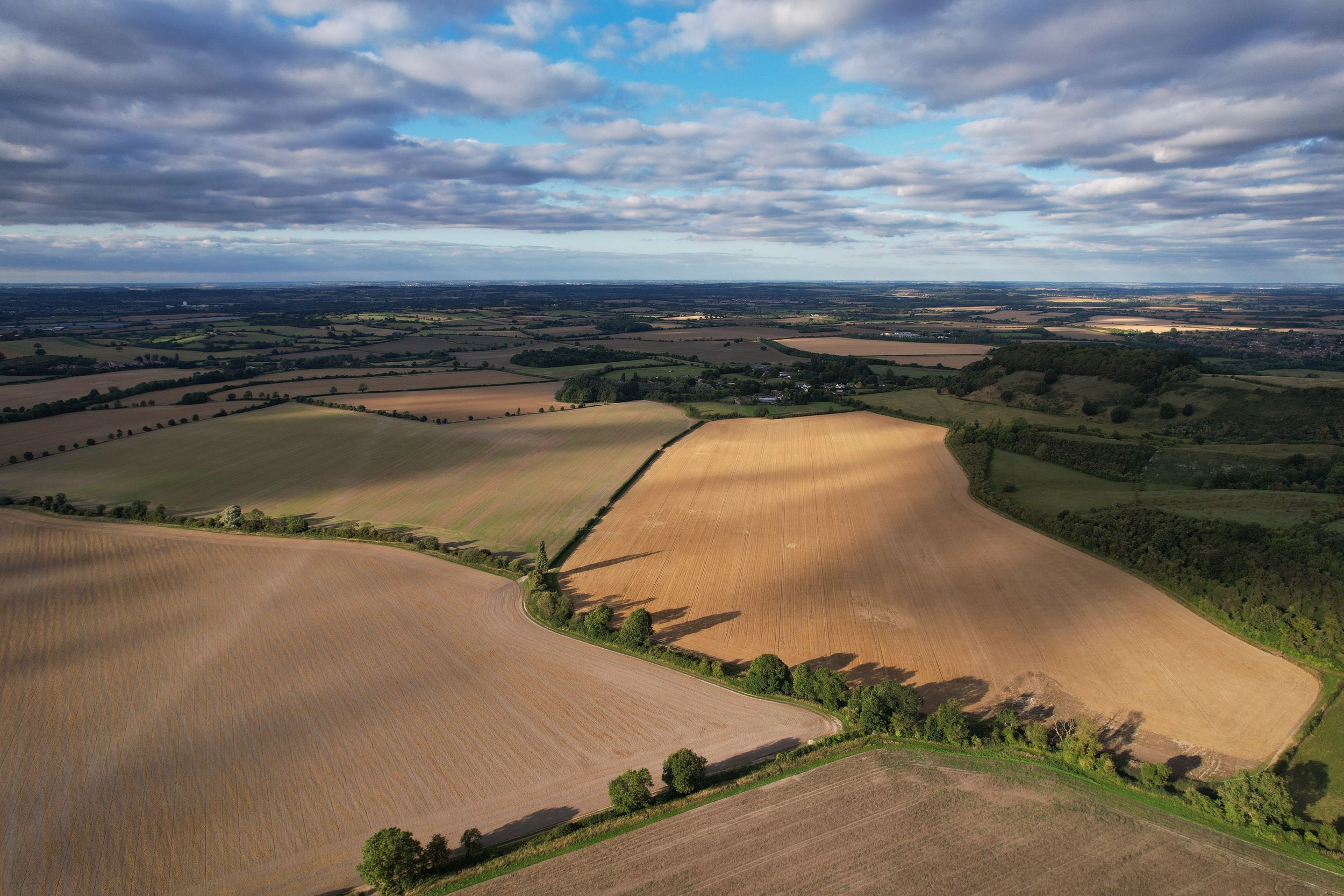 Aerial view of farmland fields, trees, and scattered houses under a partly cloudy sky.
