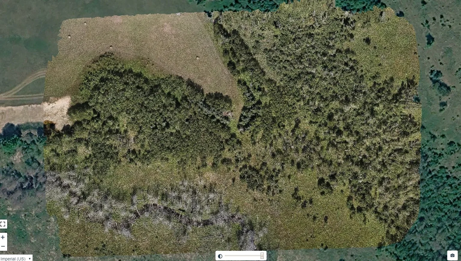 An aerial view of a lightly wooded field with a mix of trees and open grassy areas, bordered by dense forest on three sides.
