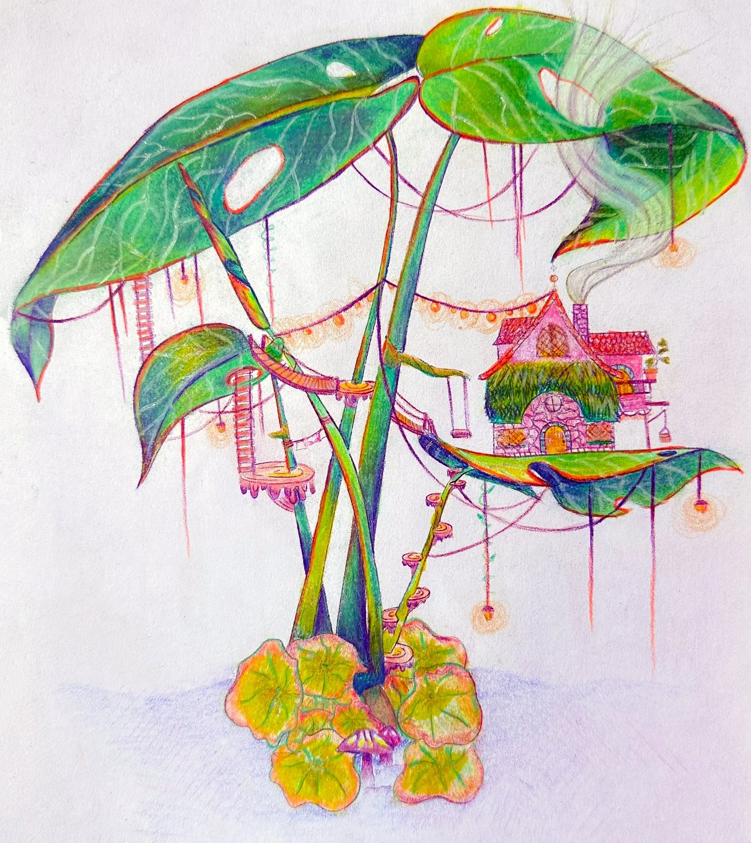 sketcyh-1-monstera.jpg