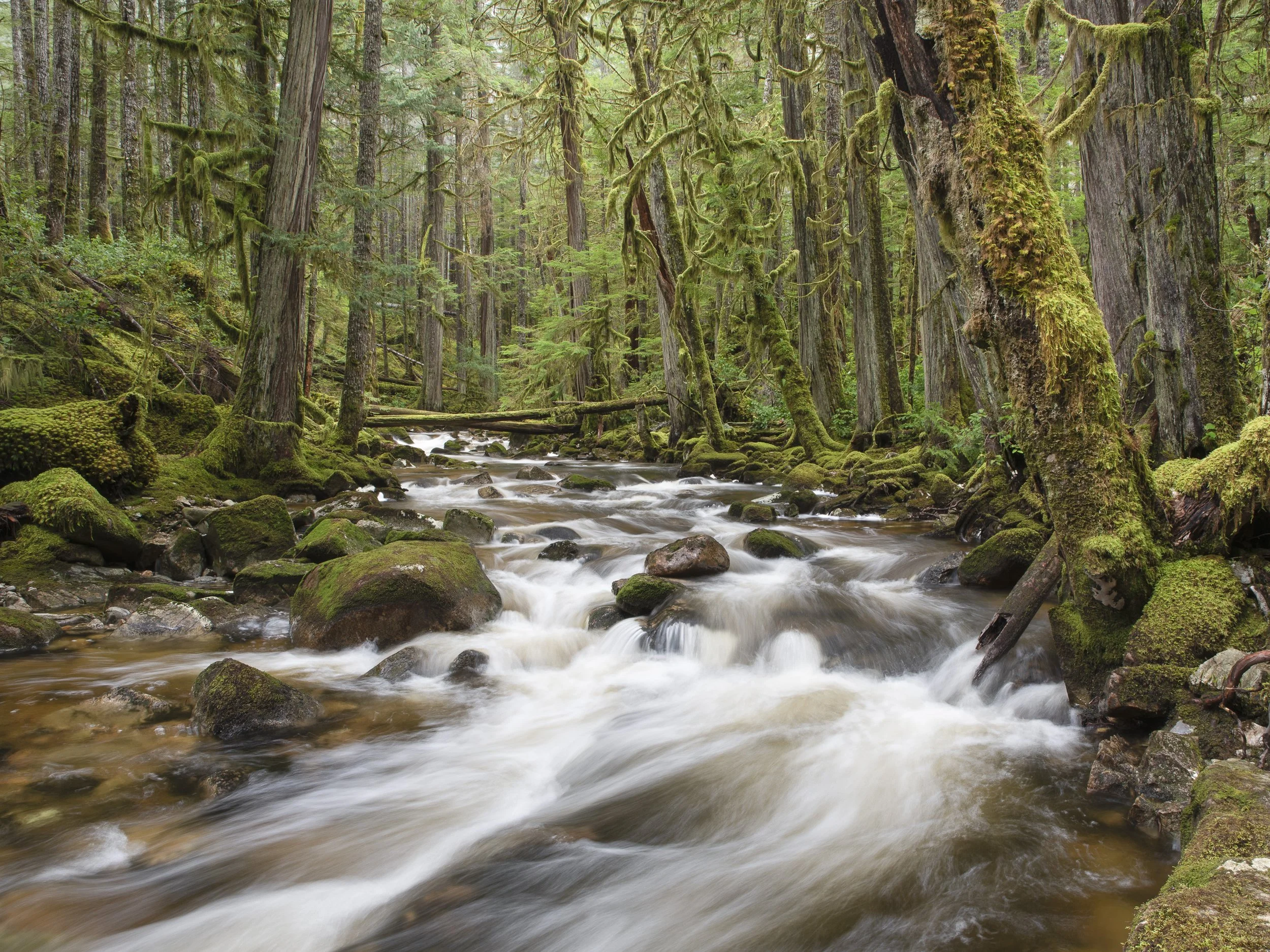 DSC_2667-Edit-Small.jpg