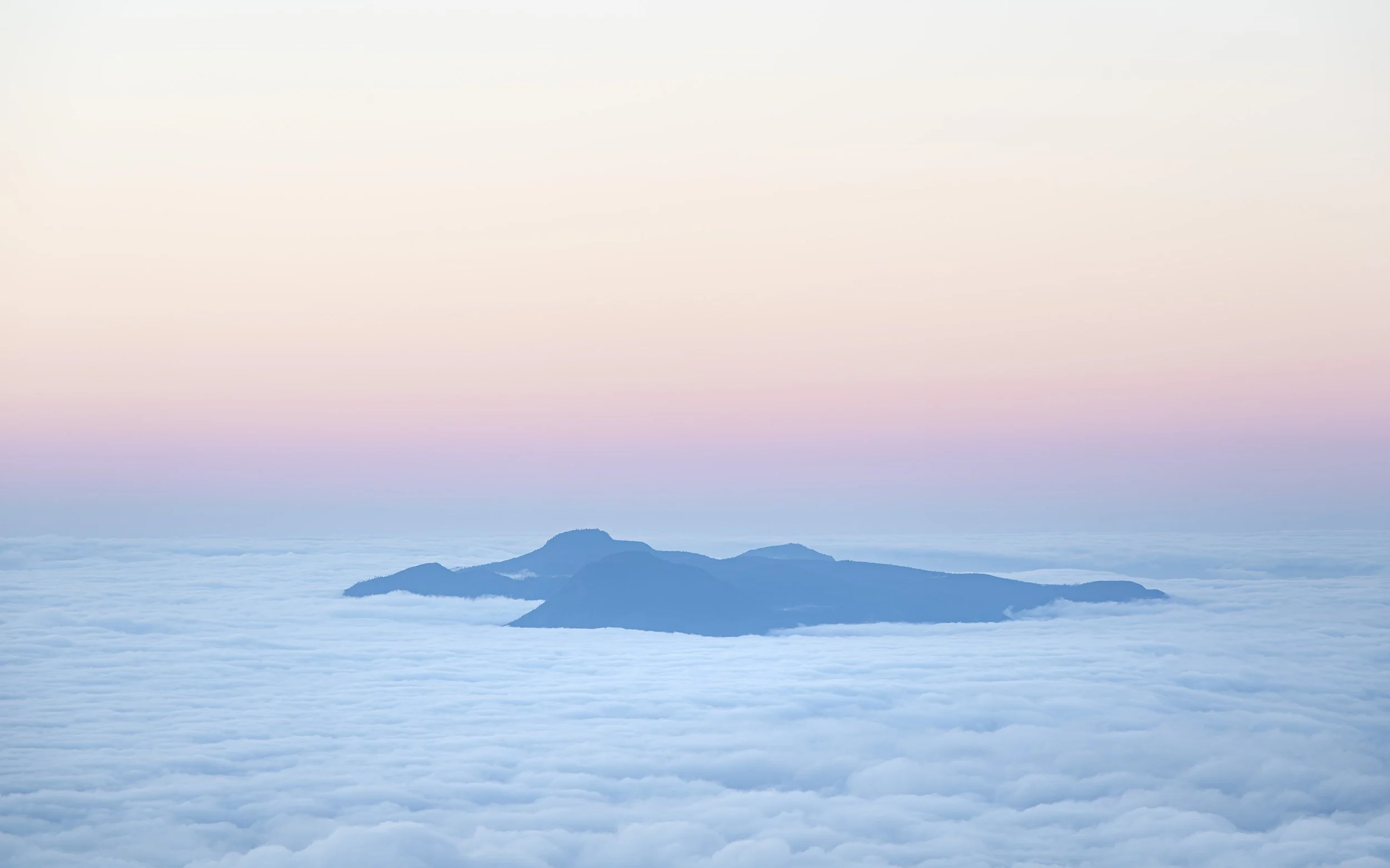 Morning fog