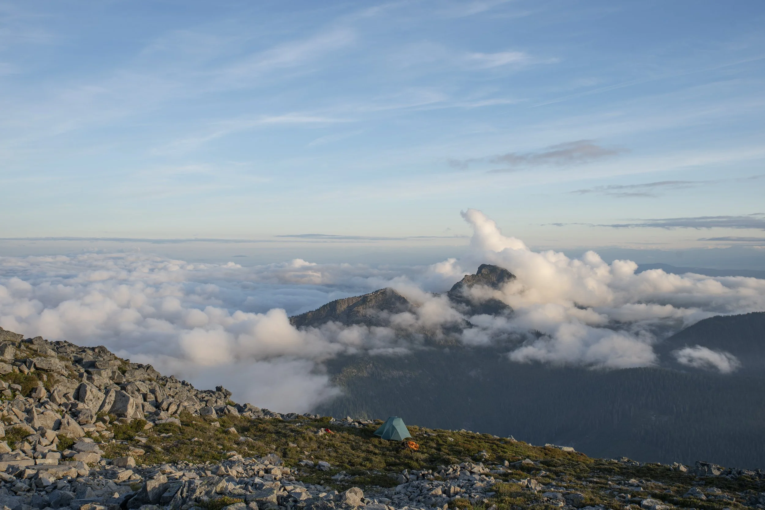 DSC_2560-Small.jpg