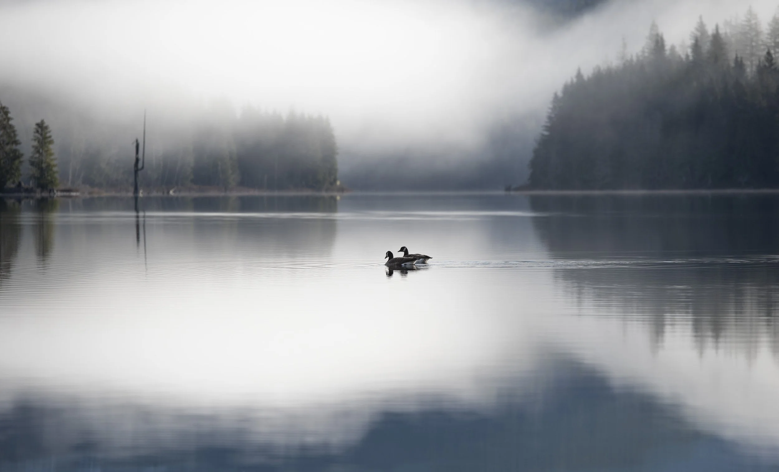 DSC_9659-Small.jpg