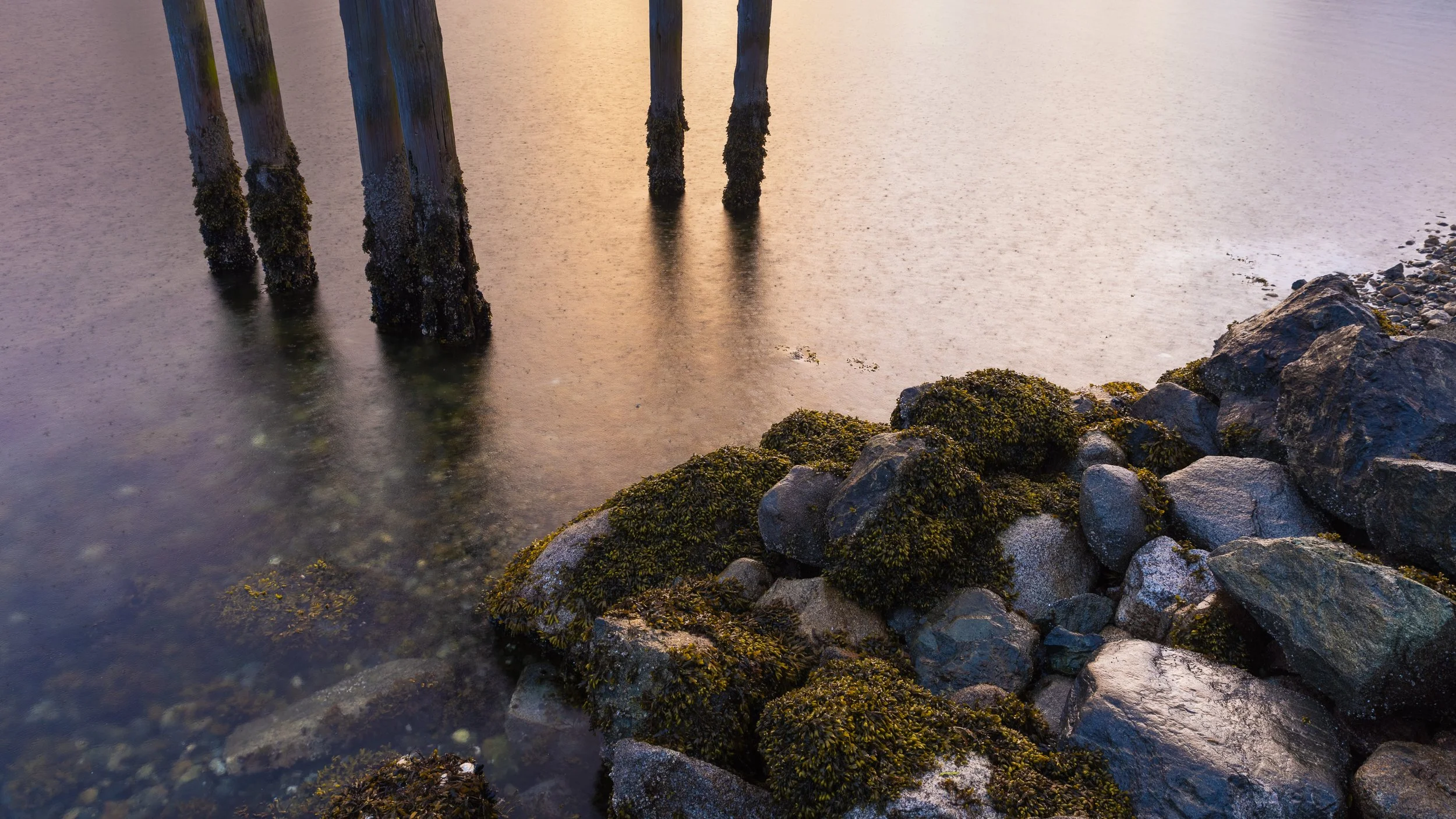 DSC_6826-Small.jpg
