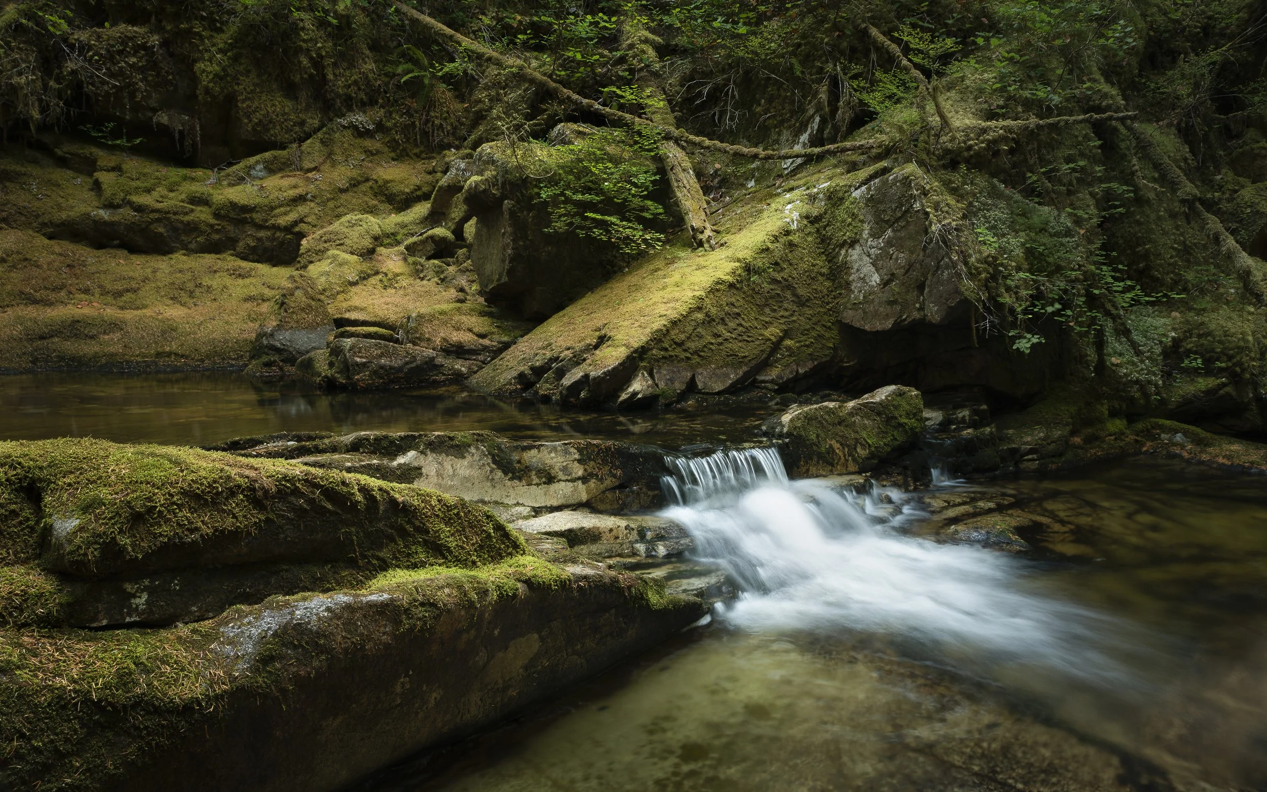 DSC_9248-Edit-Small.jpg