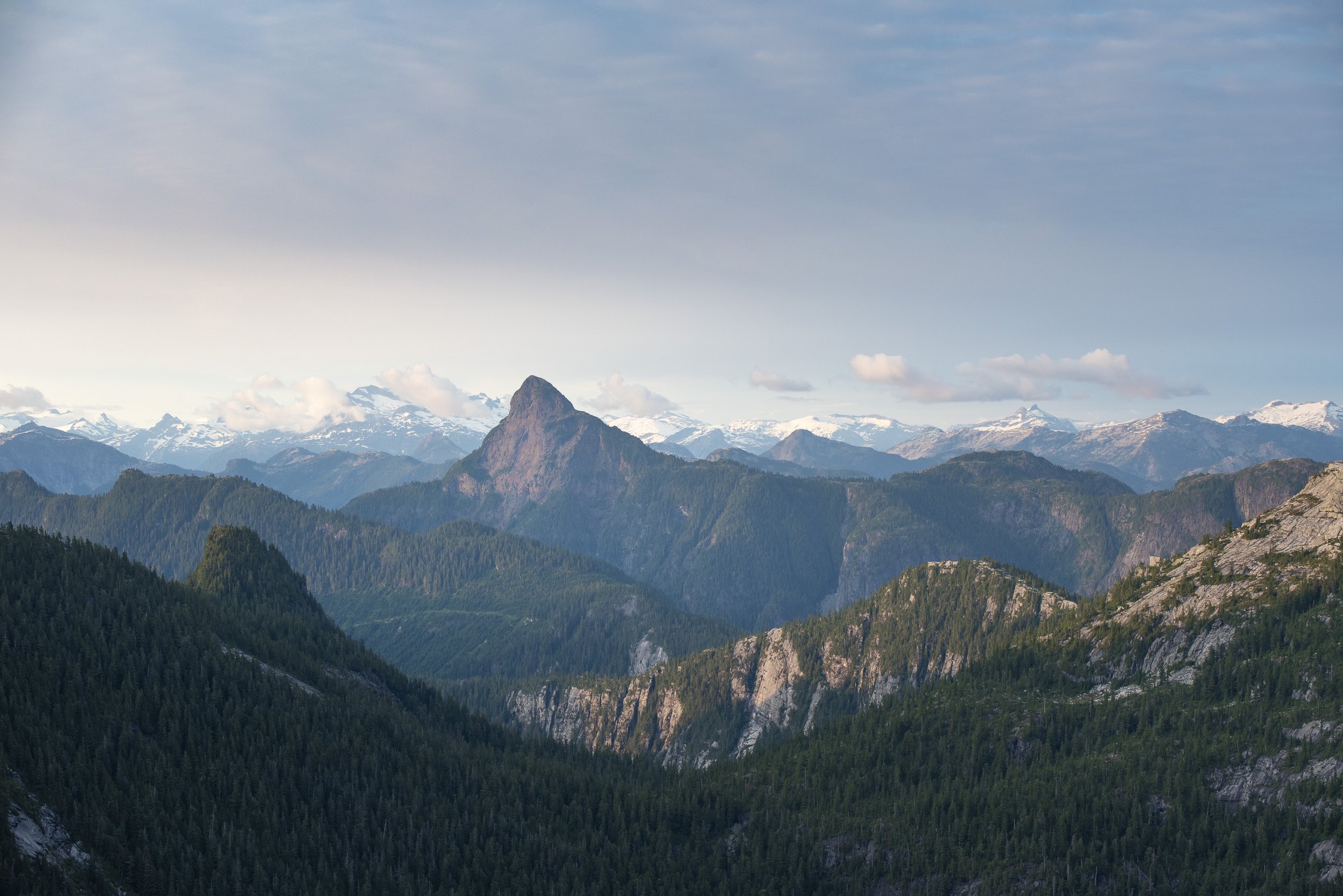 DSC_2073-Small.jpg