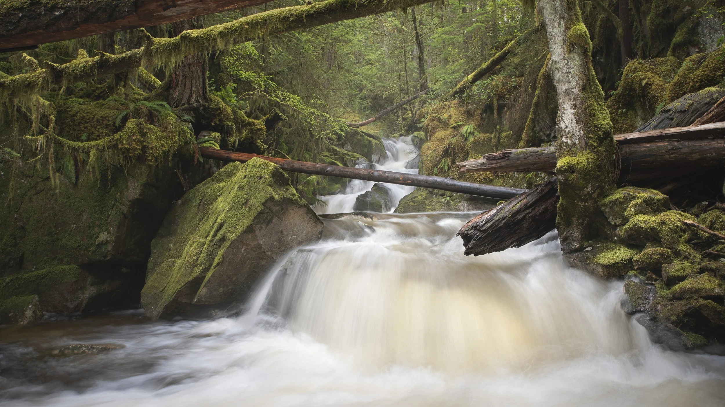 DSC_3698-Edit-Small.jpg