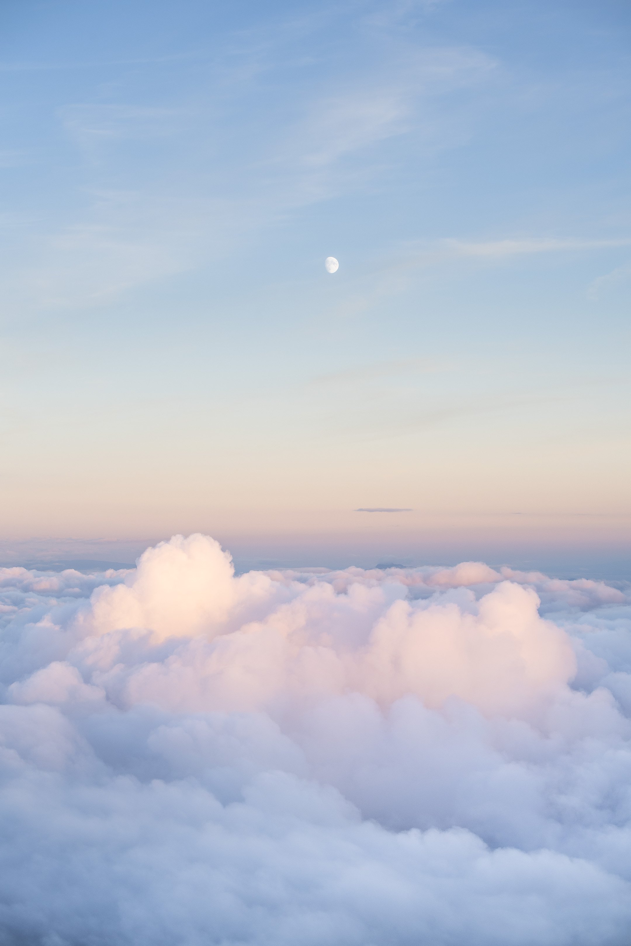 DSC_2616-Small.jpg