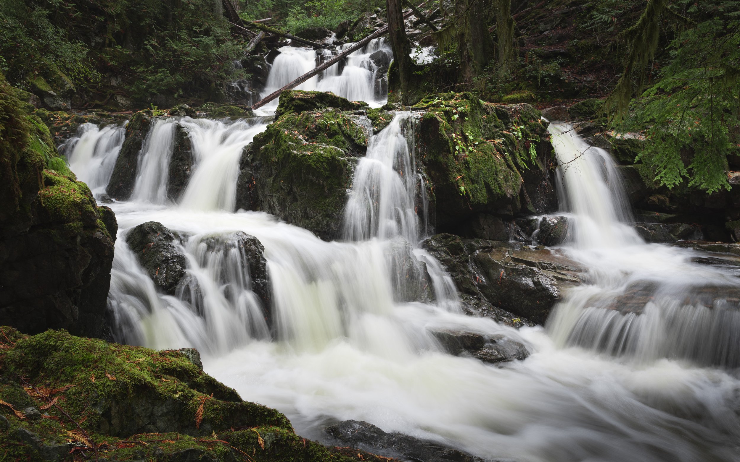 DSC_5273-Edit-Small.jpg