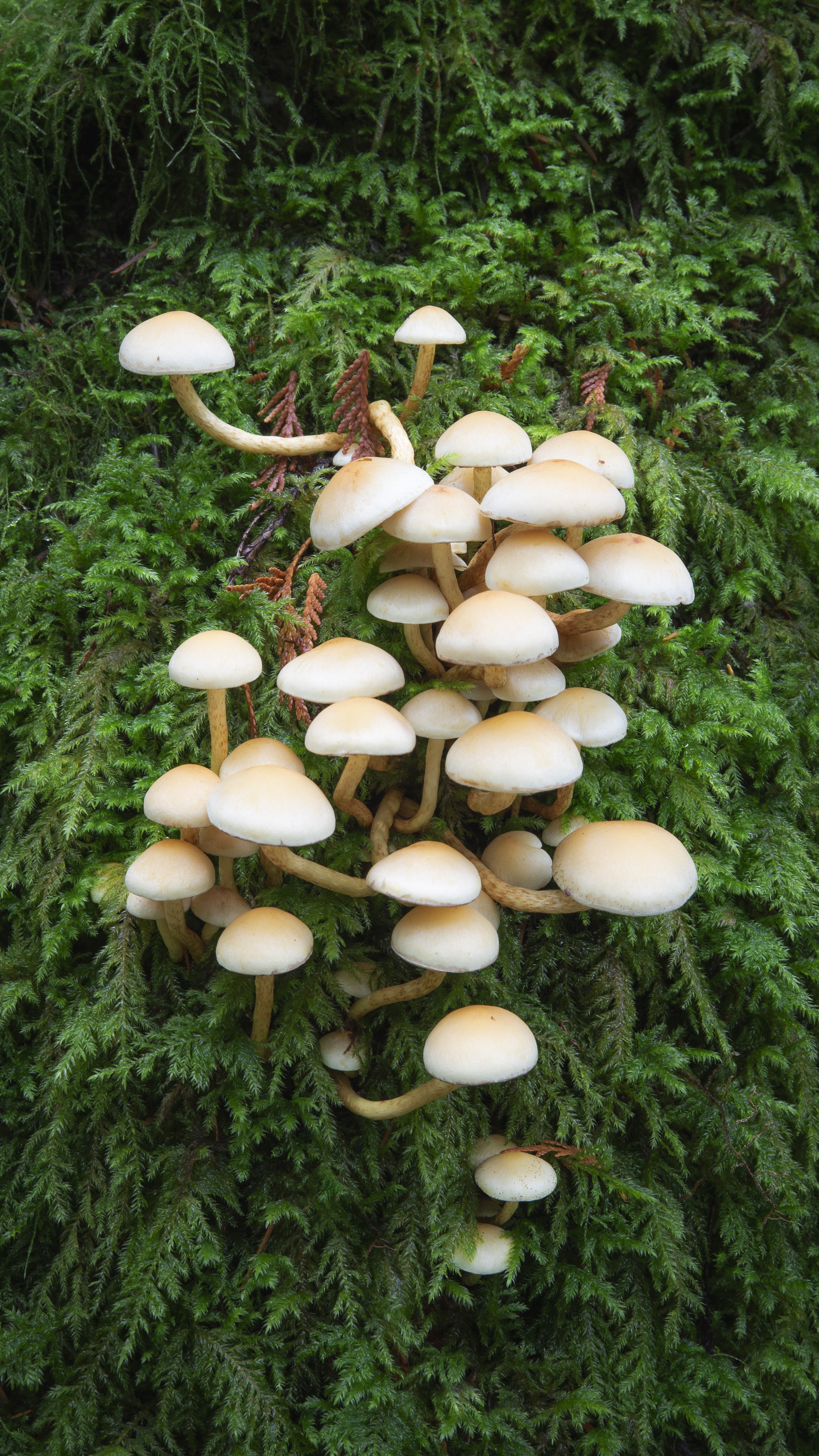 DSC_5686-Small.jpg