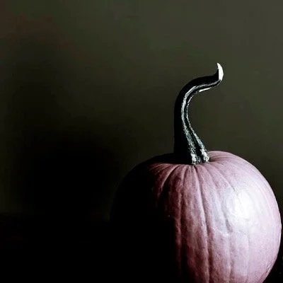 Pumpkin Custard 