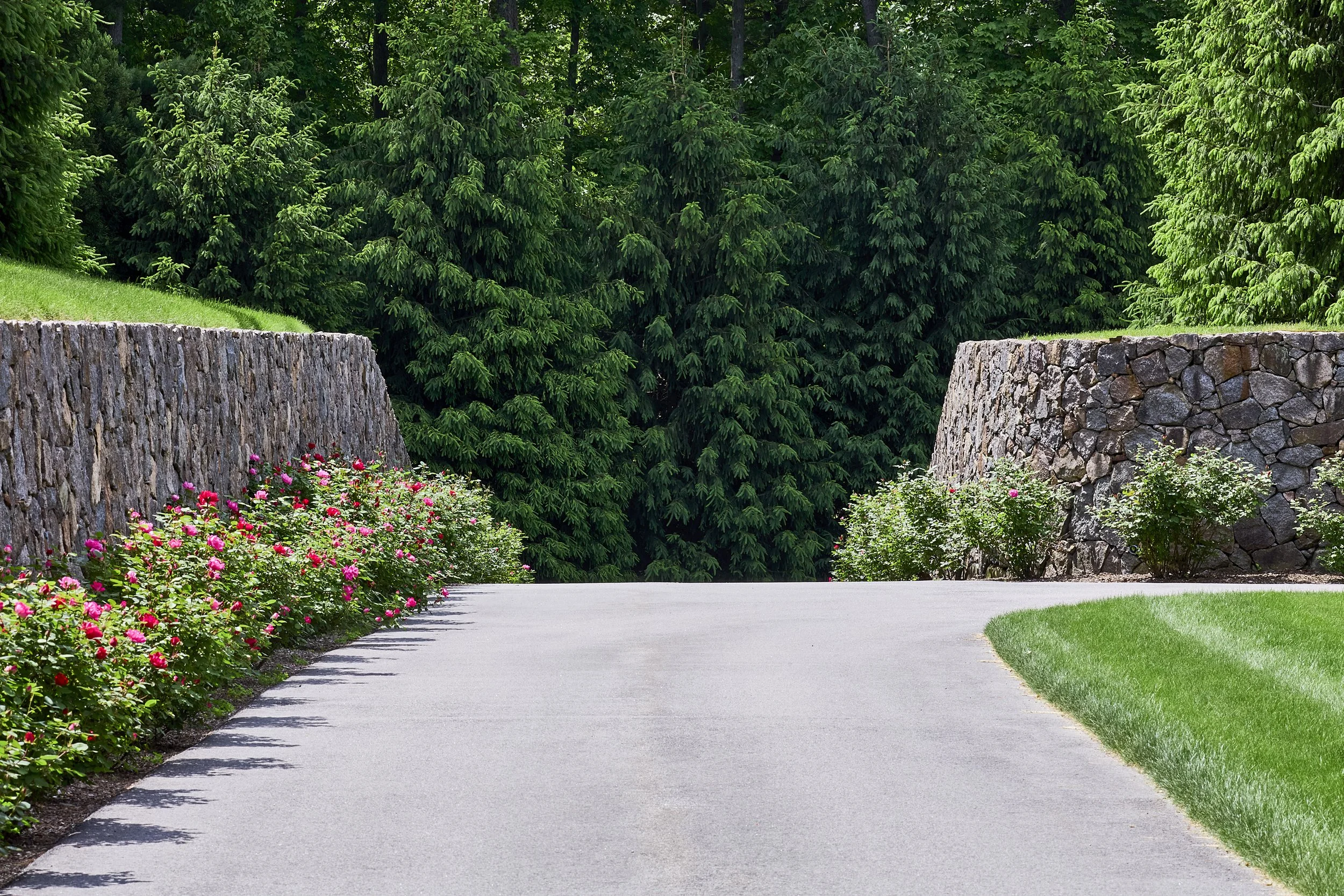 A paved walkway lined with pink flowers on the left and green grass on the right, with tall green trees and a stone wall in the background.
