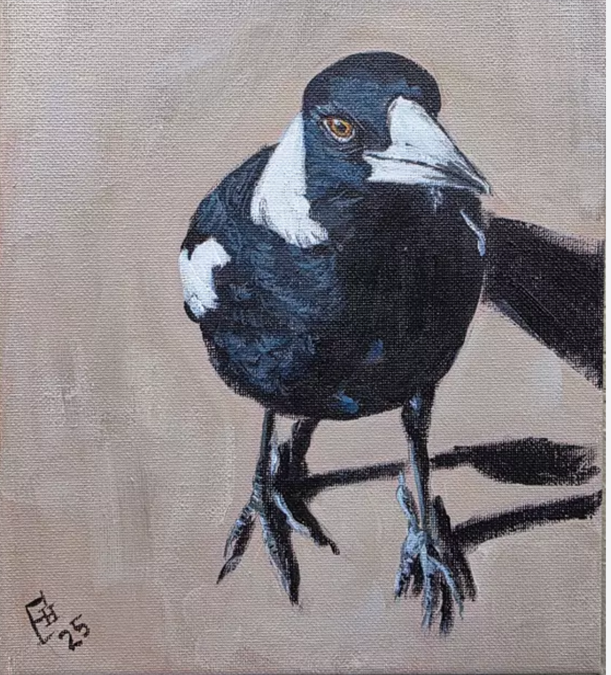 Painting of an Australian Magpie, with a prominent shadow on a beige background.