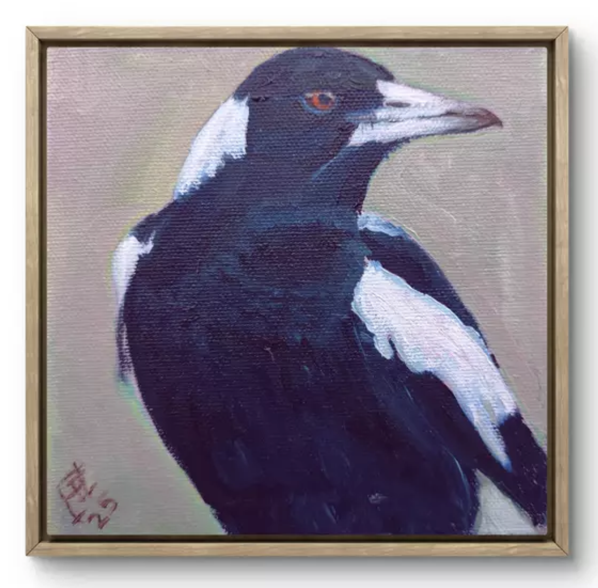 Painting of an Australian Magpie with an orange eye, framed on a wall.