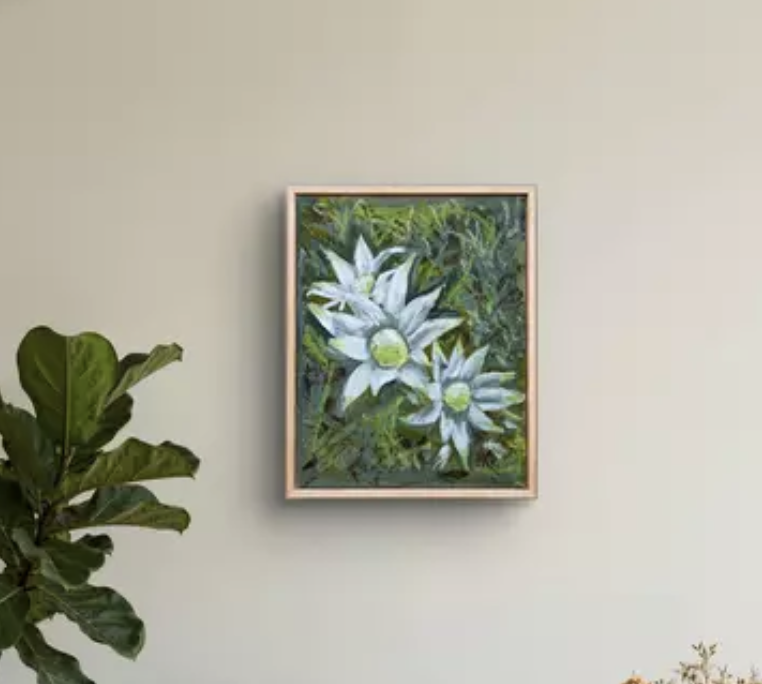 Where the Flannel Flowers Grow