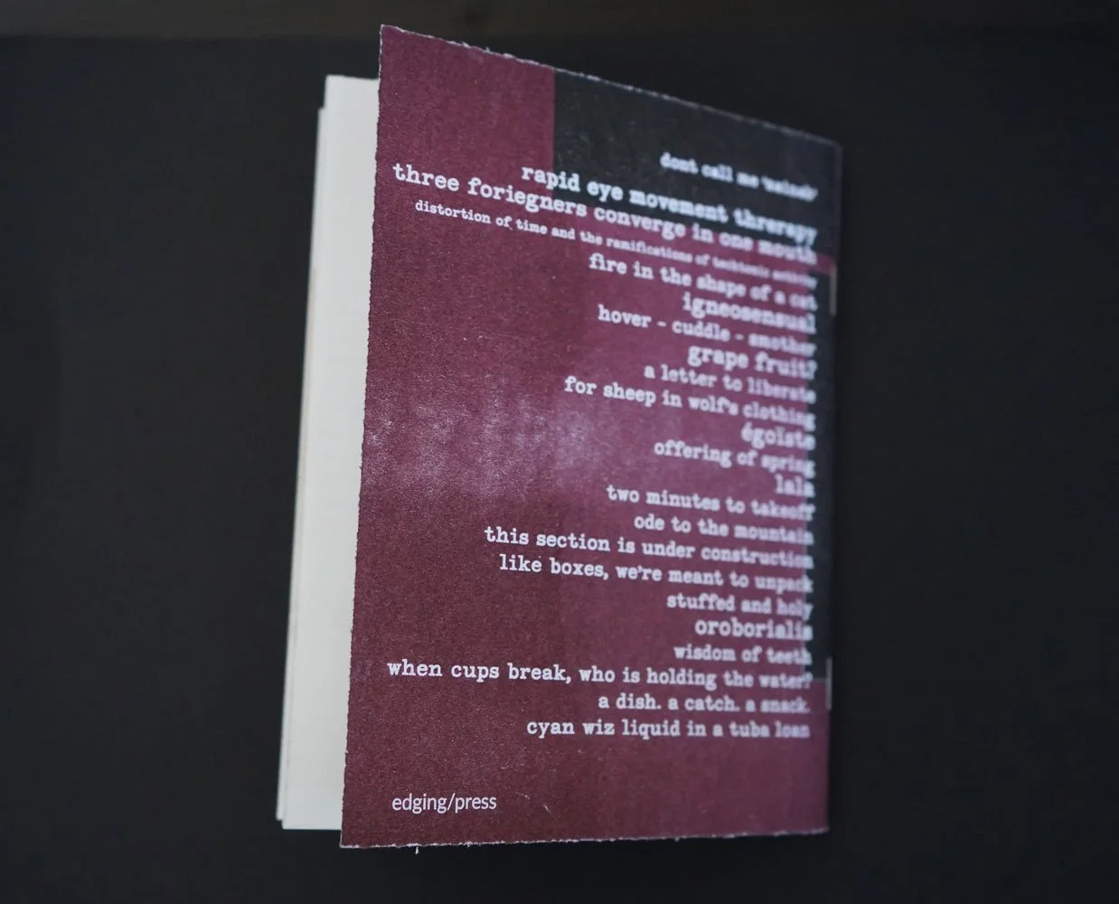 080426_zai_backcover.jpg
