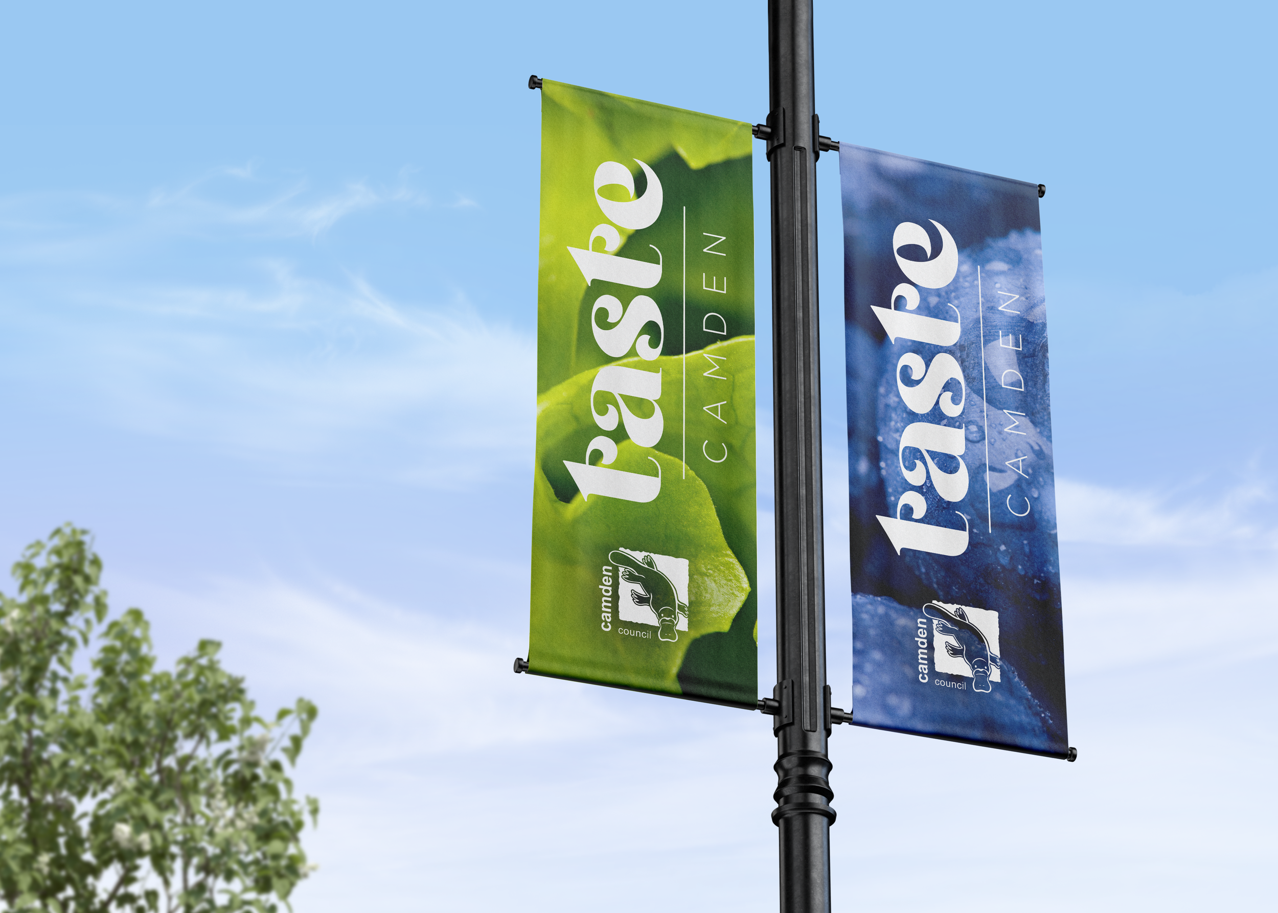 Lamp_Post_Mock_Up.png