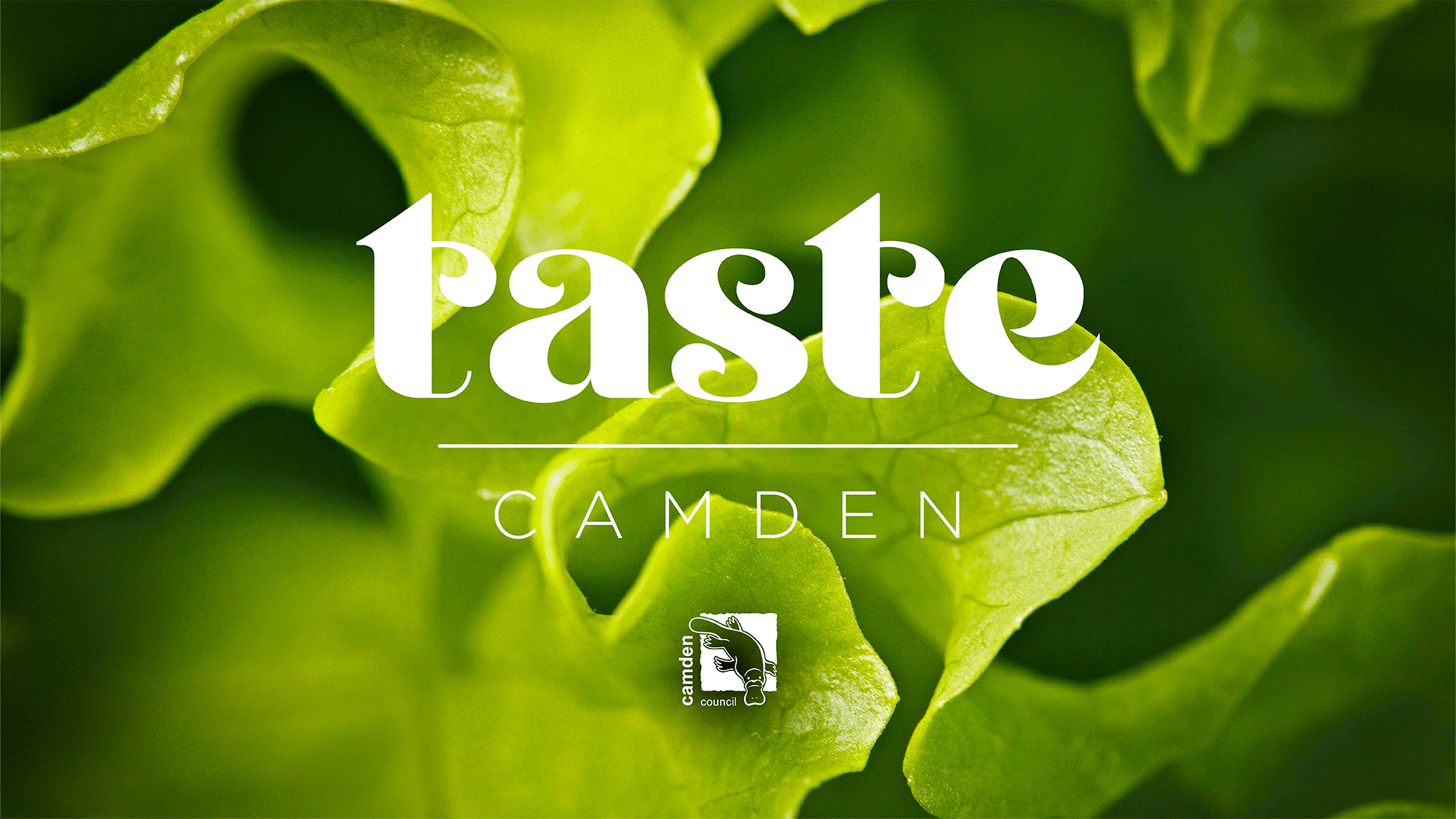 Taste Camden