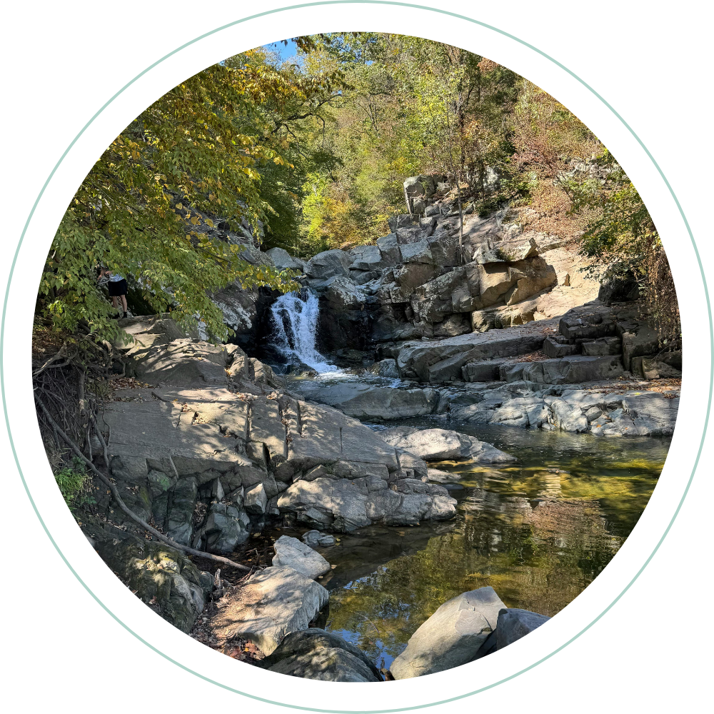 A rocky stream with small waterfalls surrounded by trees with green and autumn foliage in a forested area.