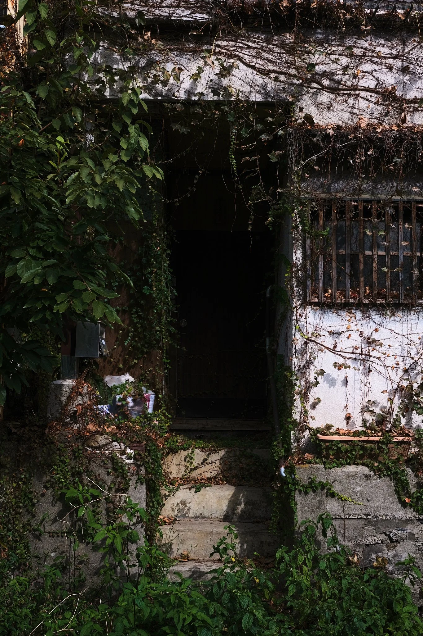 11 Overgrown and Abandoned Tokyo.jpg