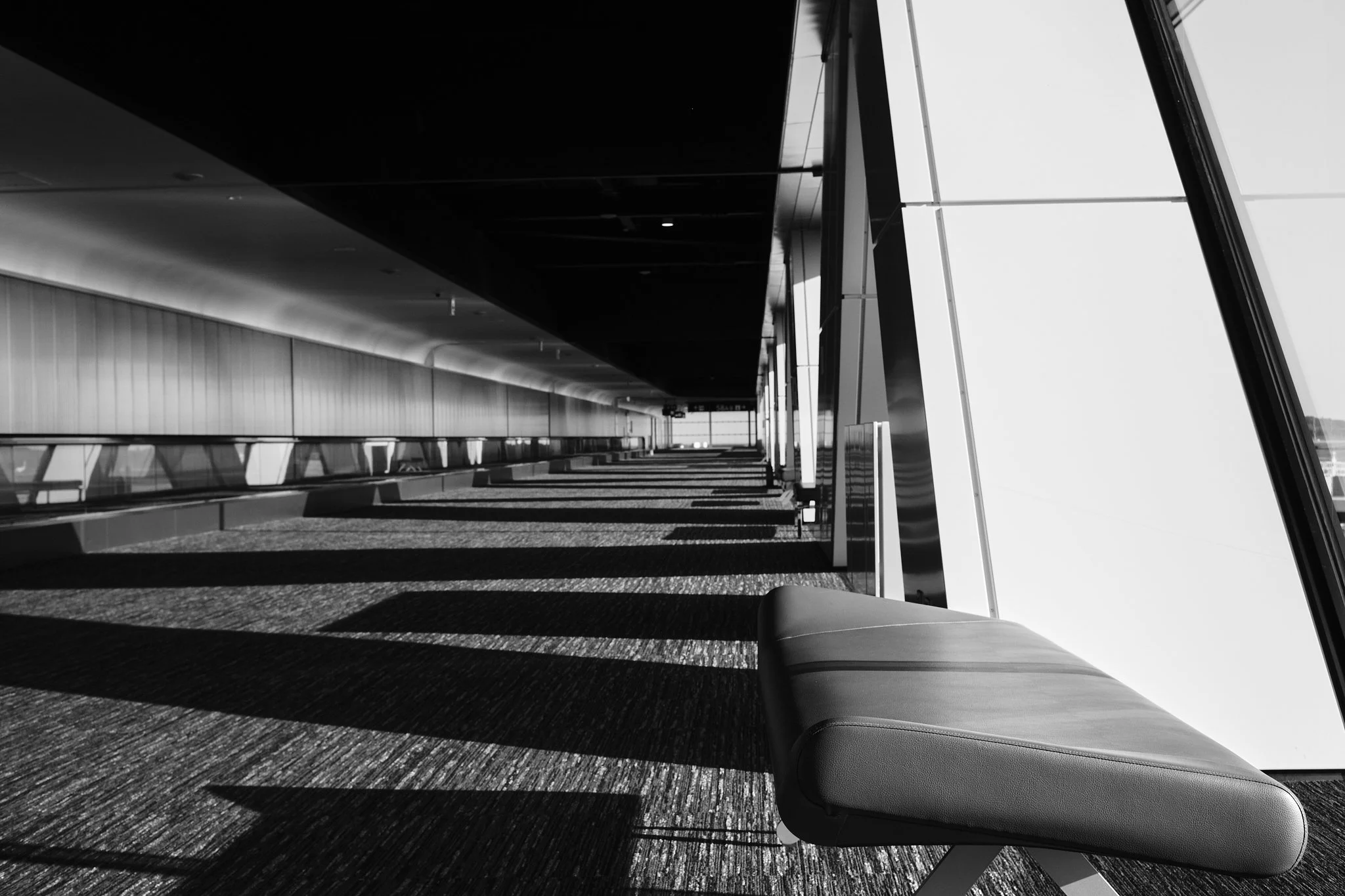 31 Empty Flights 2 (Haneda Airport).jpg