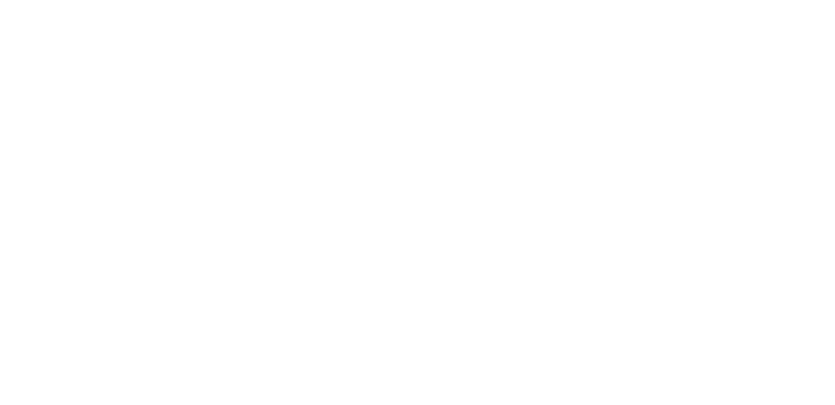 Logo reading "IIN AUTOMAALAMO JA - KORJAAMO" in white on a black background.