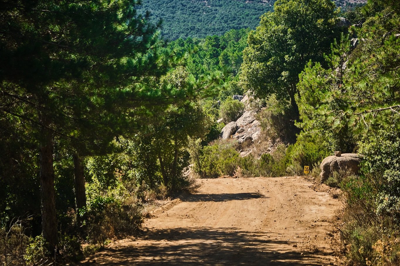 Last WRC2 event of the year in Sardegna, let&rsquo;s give it all!🙏🏼

Recce done, fast, narrow and challenging roads ahead - soon it&rsquo;s time for shakedown Monte Baranta (3,27km) 

Tune in to livestreams where ever you are and cheer us, on the l