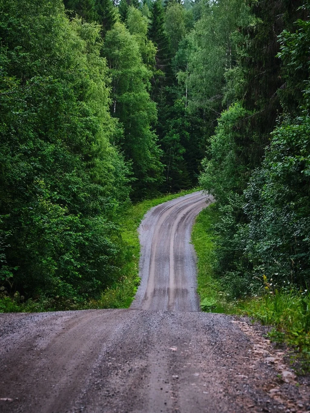 Greatest week of the year is finally HERE🤩

Thrilled to be part of @sectorallyfinland again this year with all finnish fans cheering on the worlds best roads😎

Rally starts tomorrow with SS1 Harju 1 but this evening there will be a ceremonial start