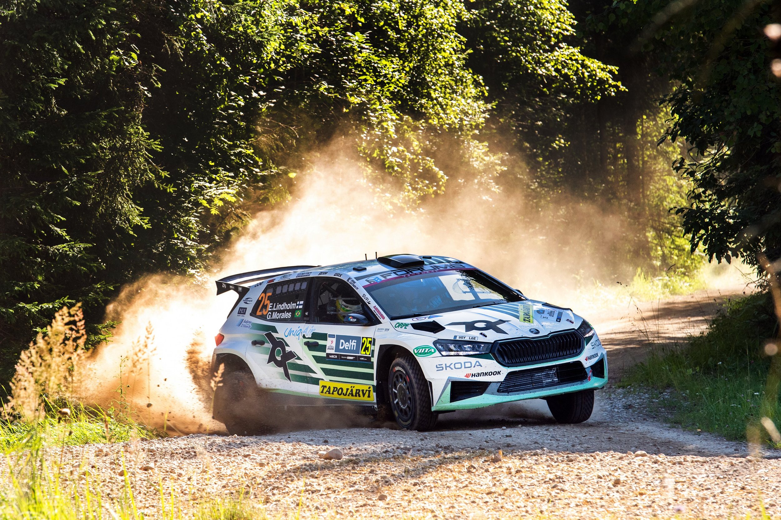 A white rally car speeding through a dirt forest trail, kicking up dust and leaves, with sunlight filtering through dense green trees.