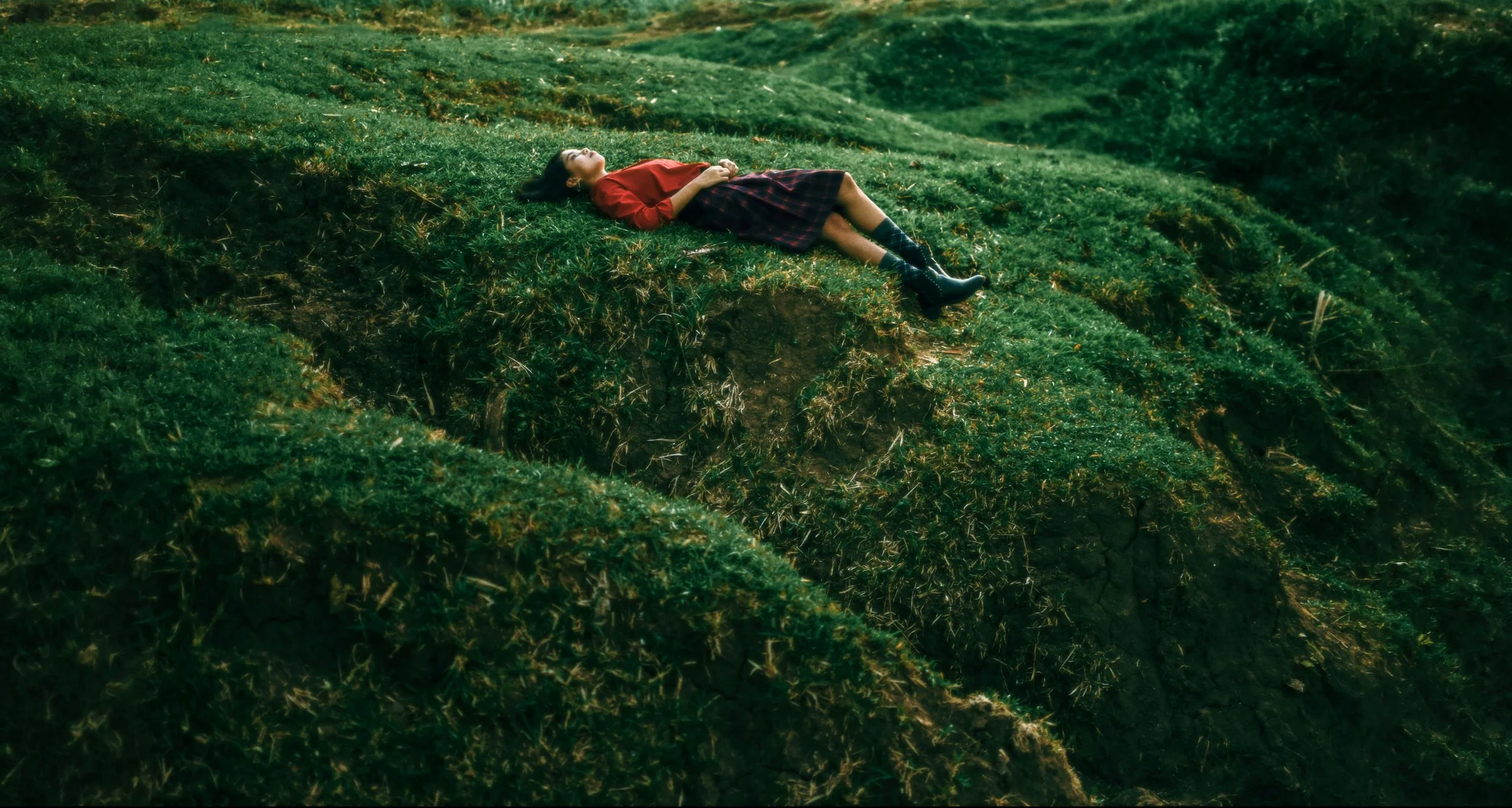 A person laying down on a dreamy grass scenery