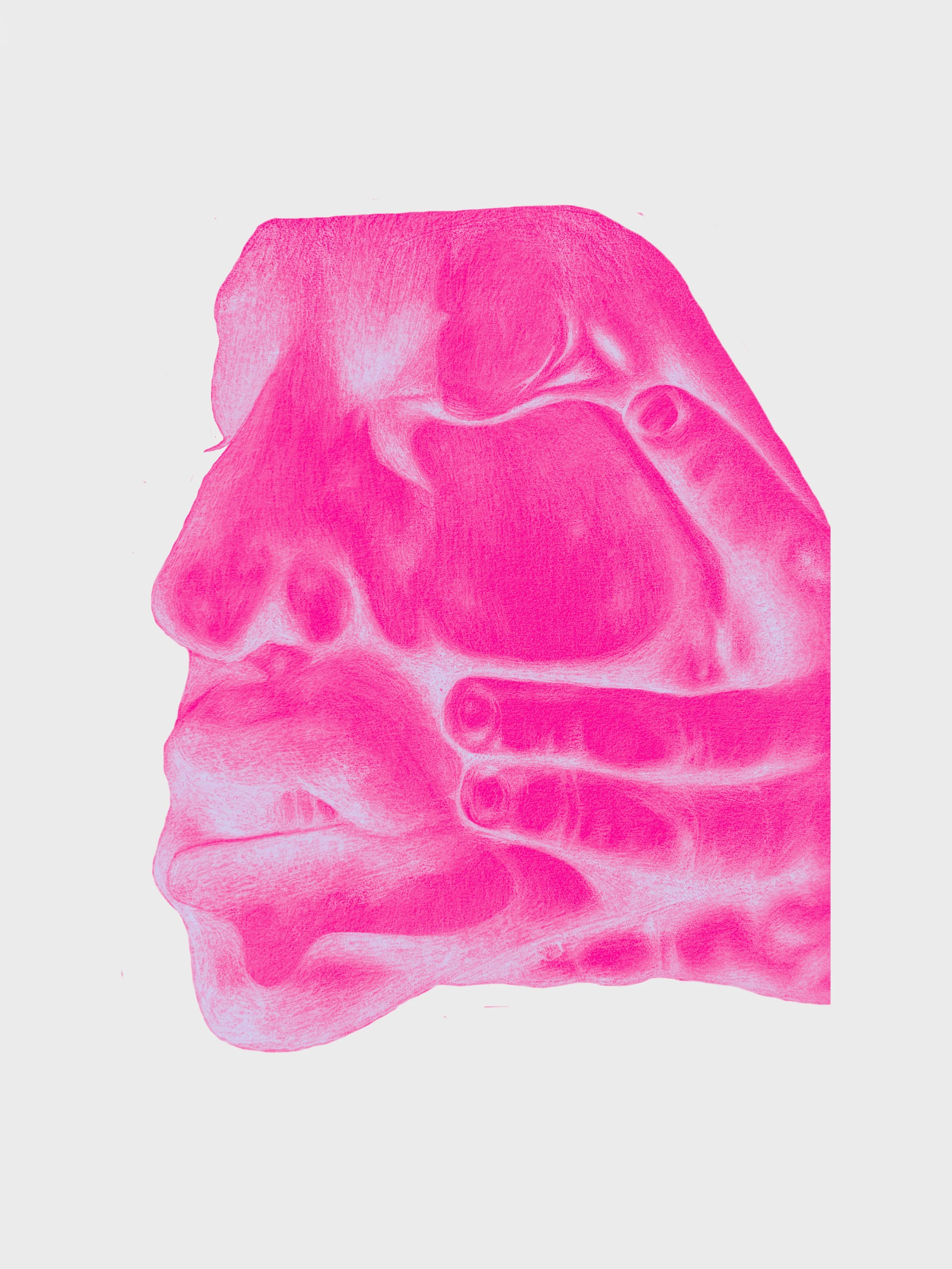 squish face pinkpink.jpg