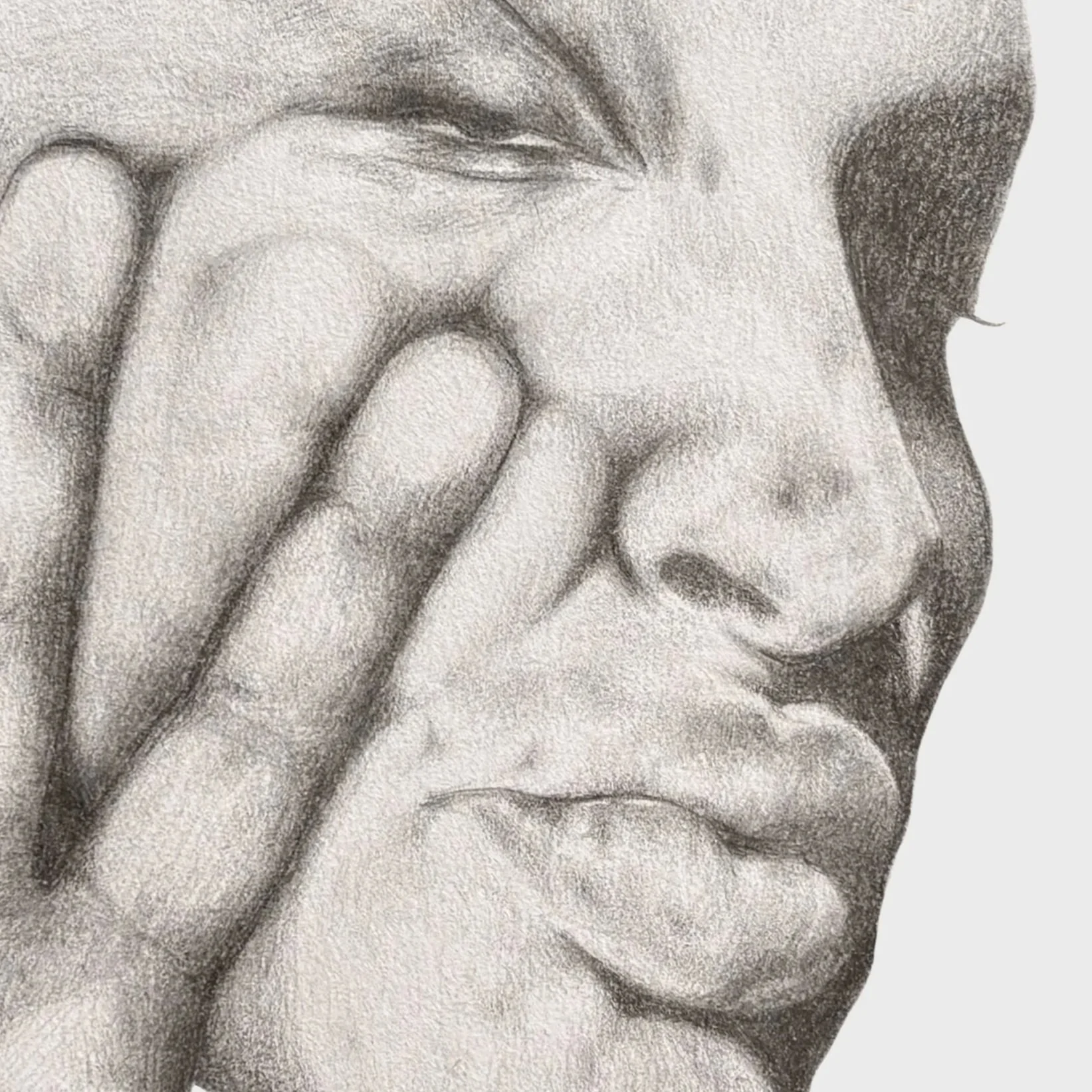 hand+face+ps+version+edit+huge.jpg