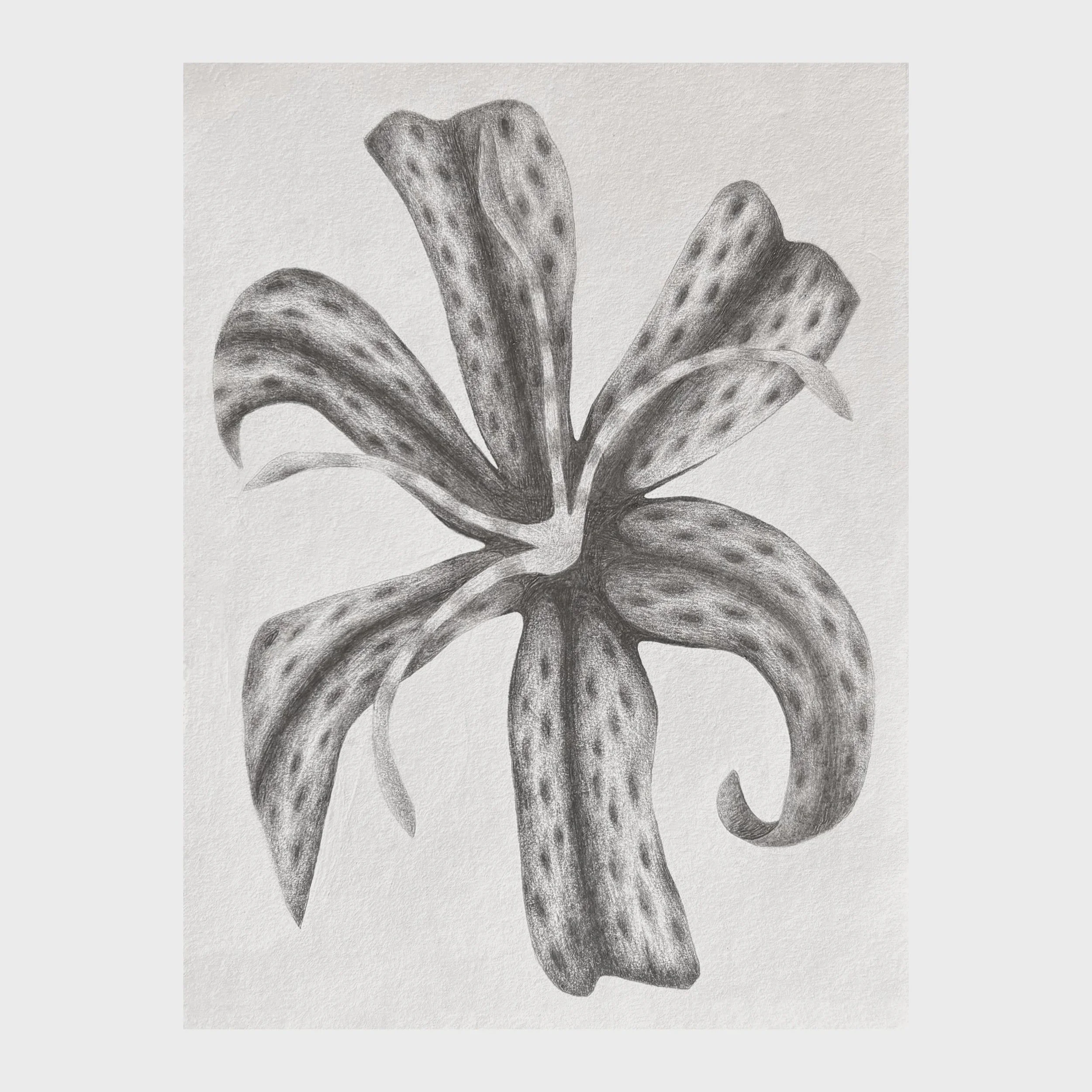 Flower+single+2.jpg