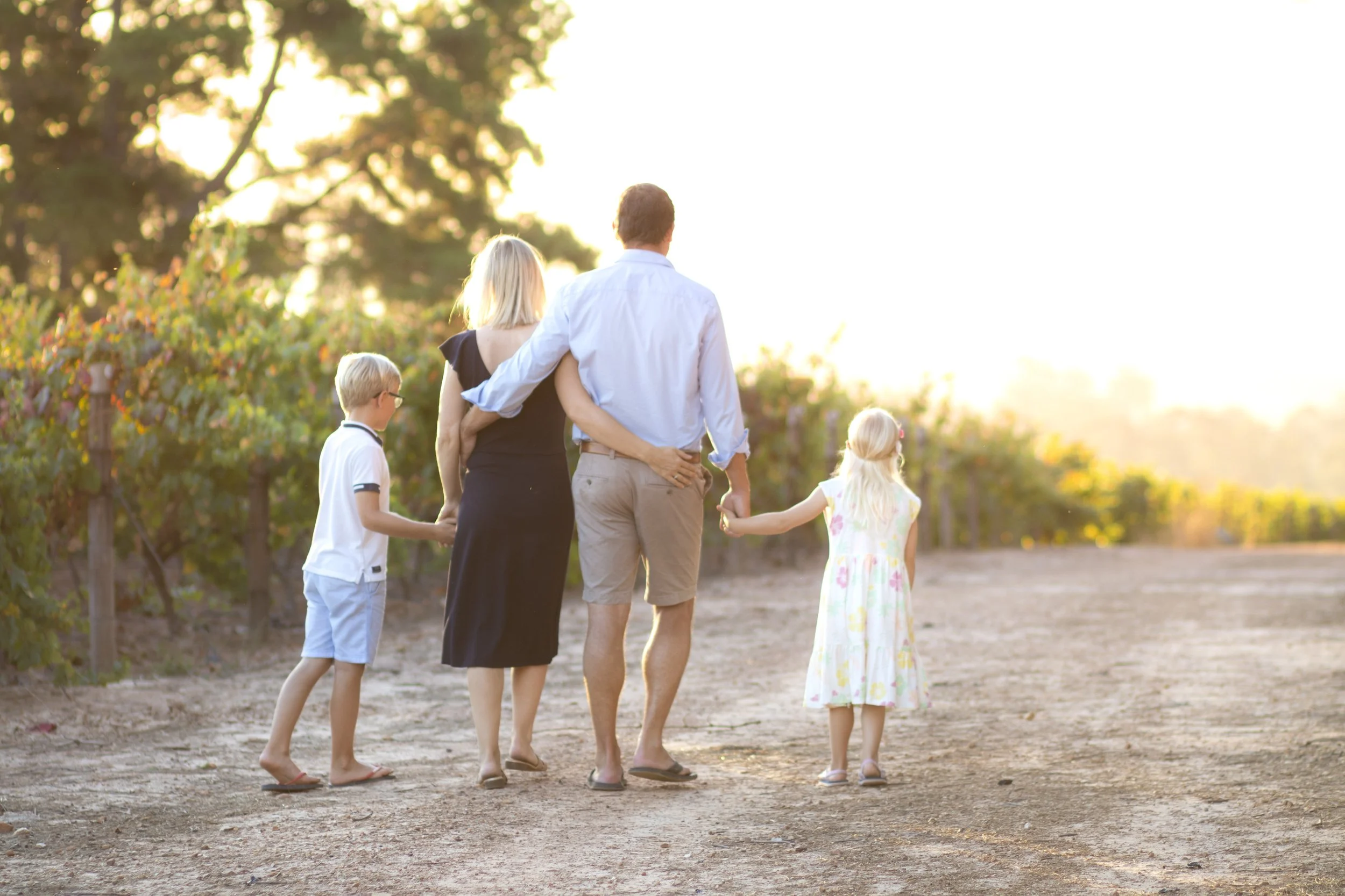 A family of four, including two children, holding hands and walking through a vineyard at sunset.