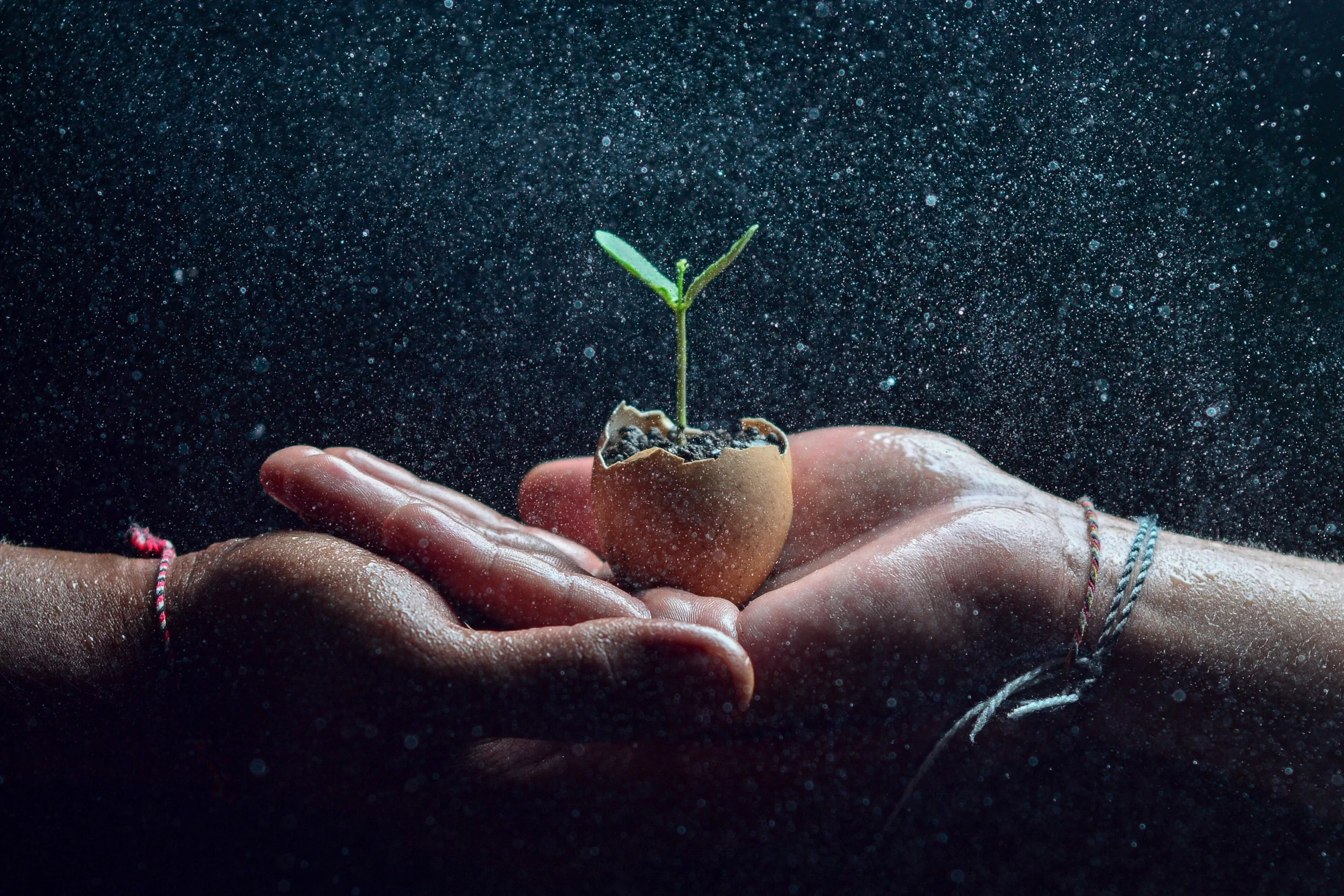 Hands holding a small plant sprouting from an eggshell, with water droplets in the background.