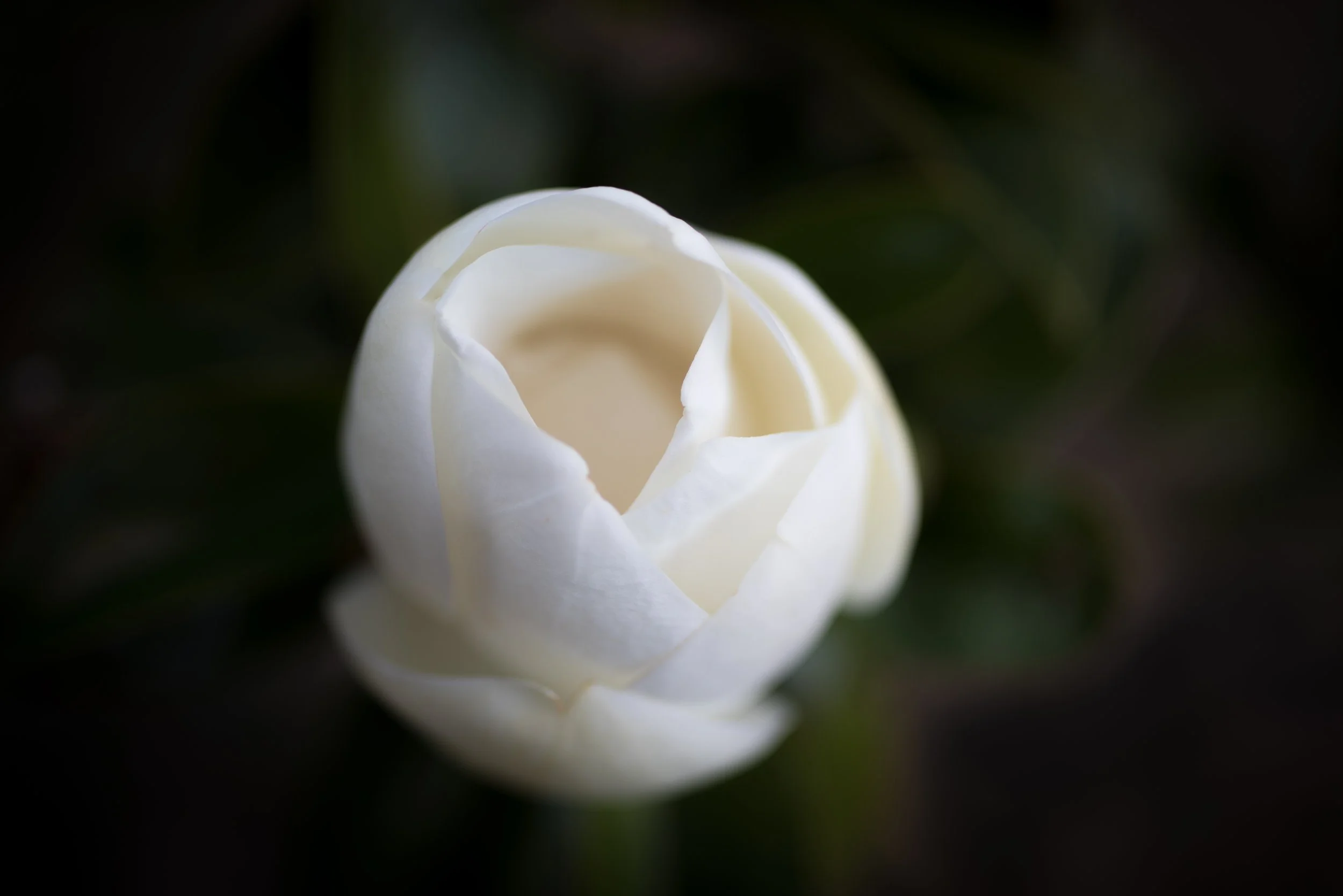 _F3A8658.jpg