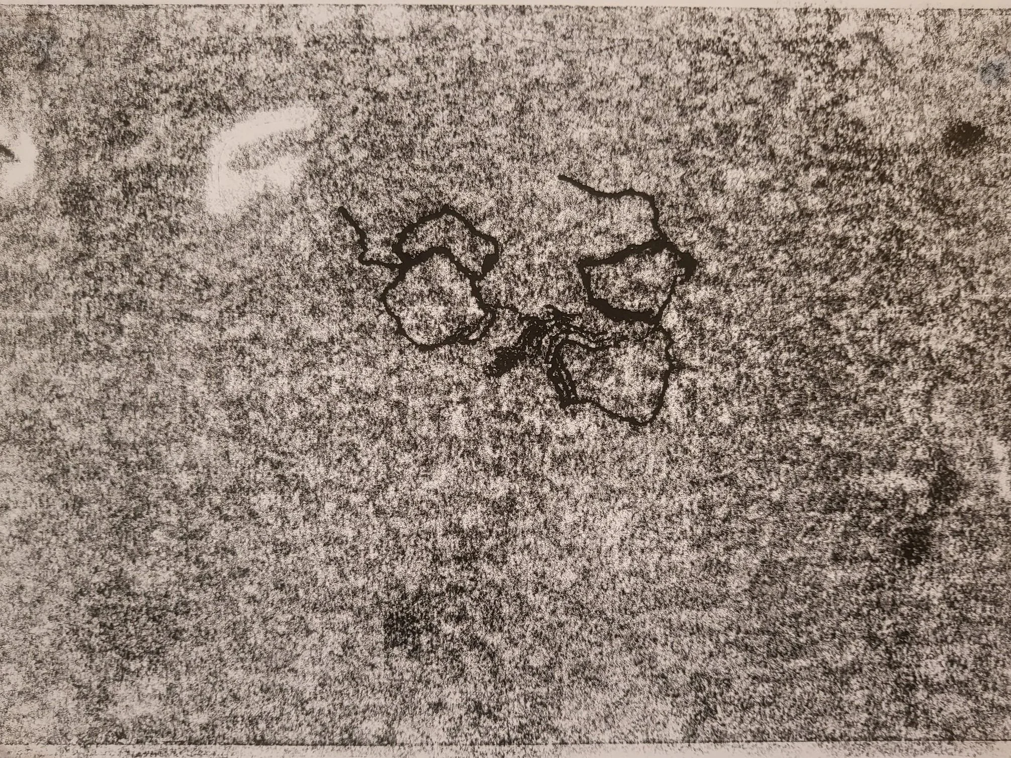 20250326_141350.jpg