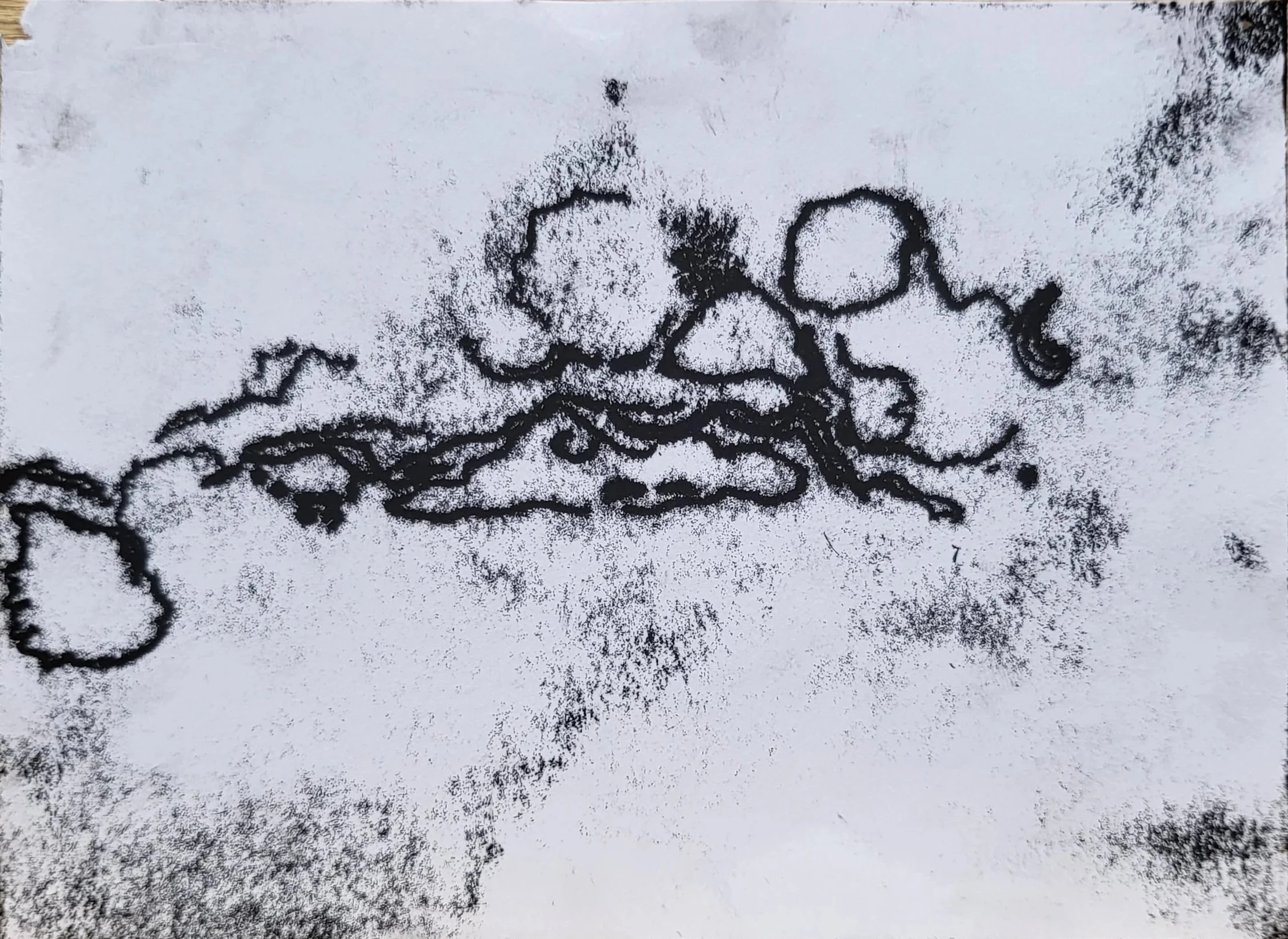 Trachea slide monotype.