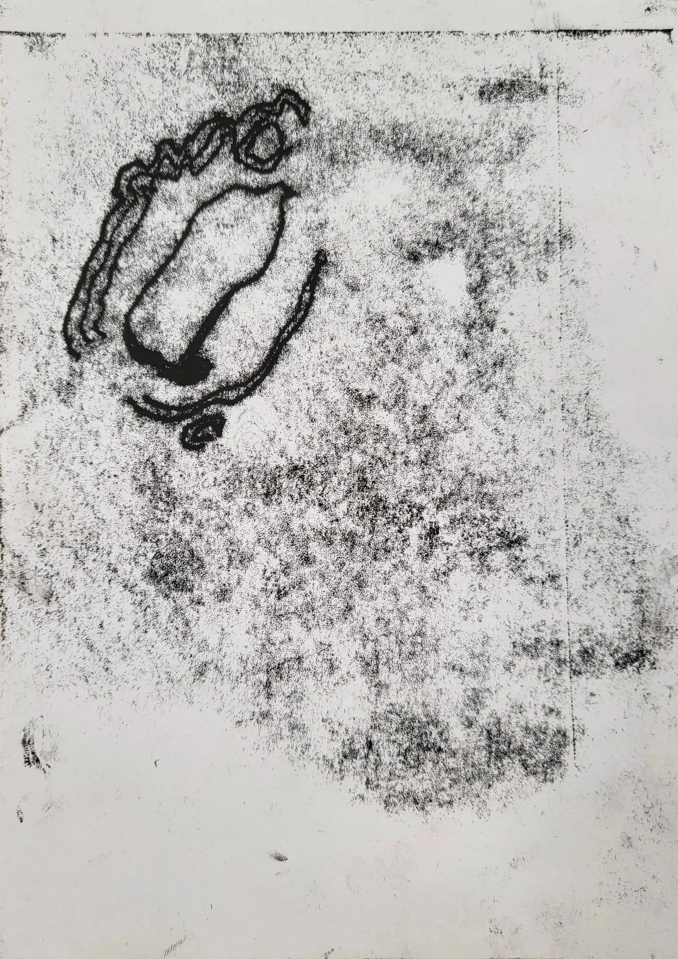20250328_191718.jpg